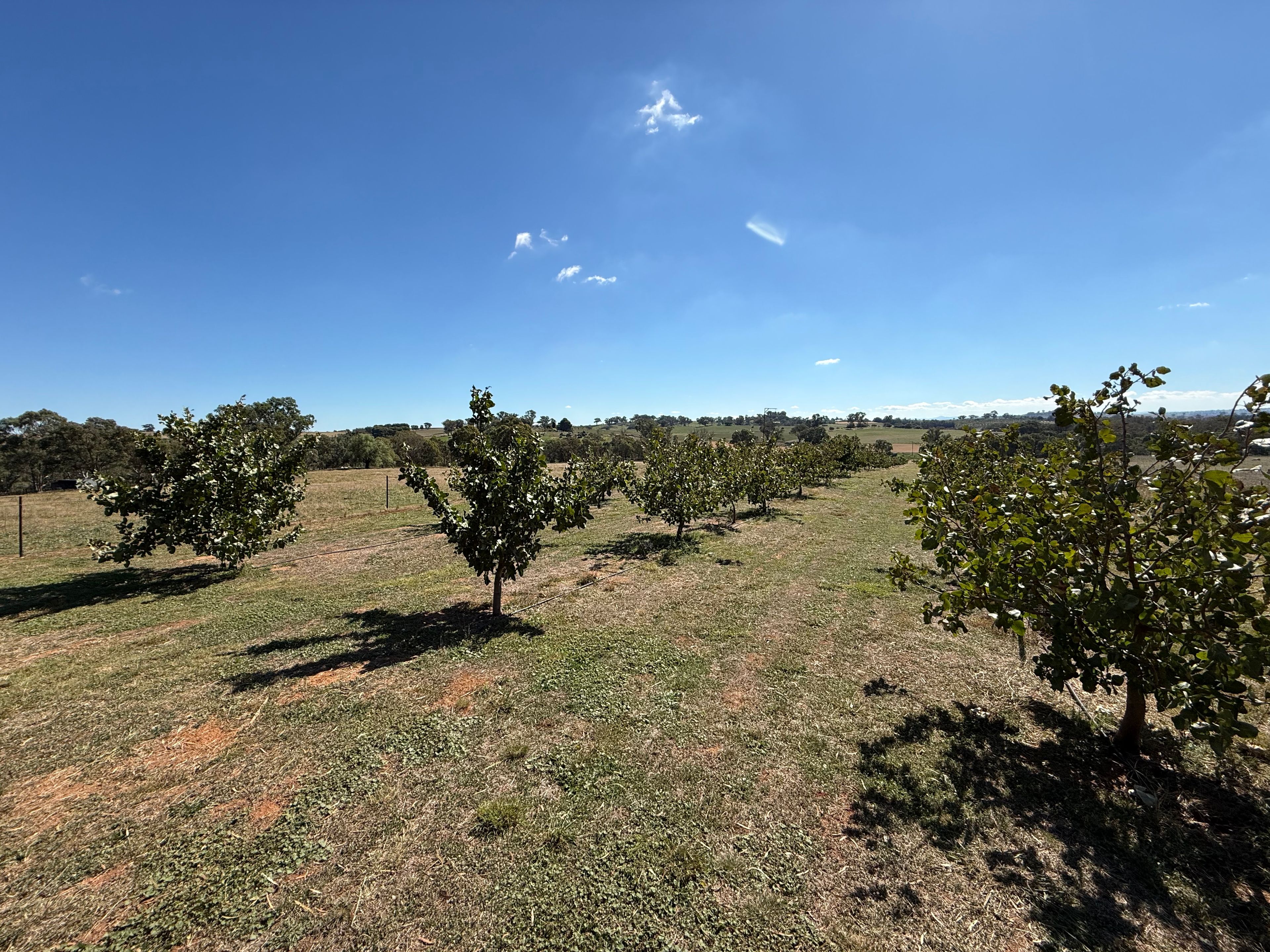 216 Good Friday Gully Road Maimuru via — photo 14 of 26