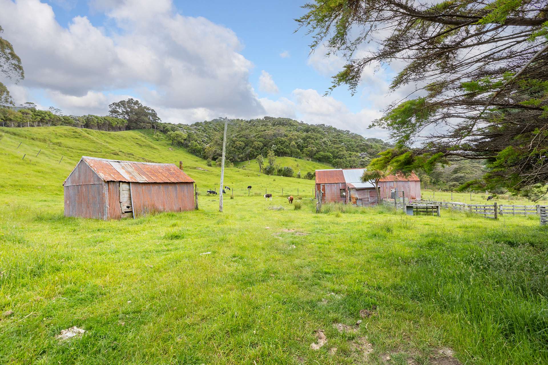418 Kaiwaka Road photo 5
