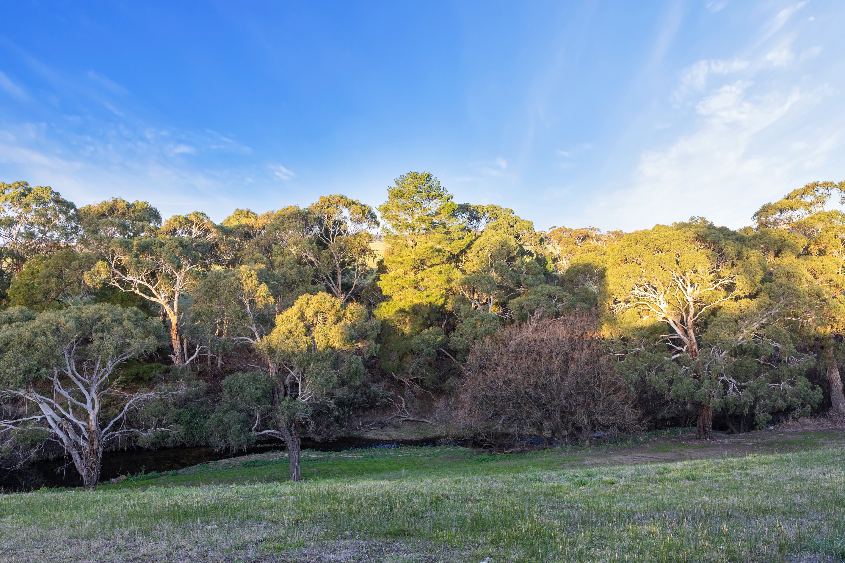 1541 Buninyong - Mt Mercer Road, Grenville, VIC 3352