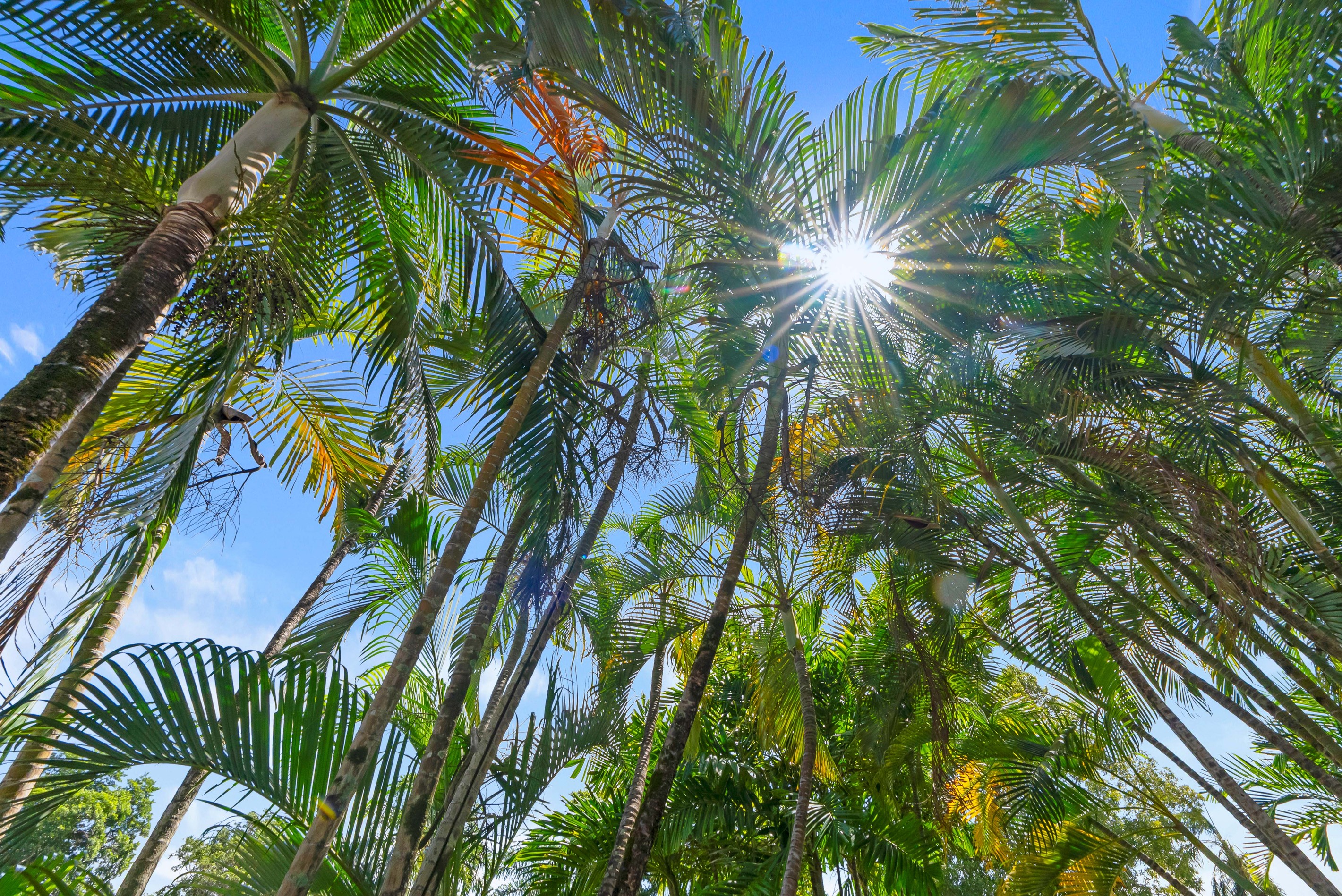 6/9 Grantala Street, Manoora, QLD 4870