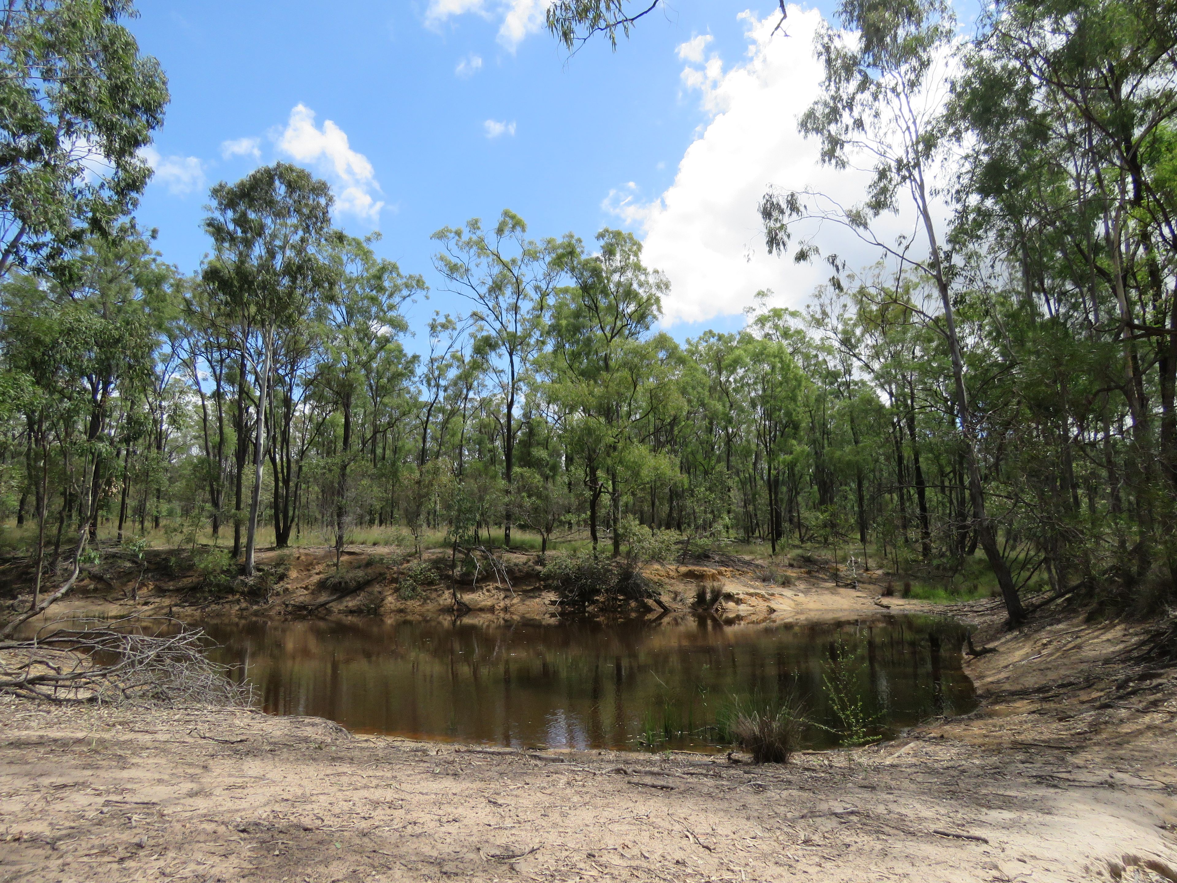 450 Lawsons Broad Road, Coverty, Wondai, QLD 4606 Rural Property for