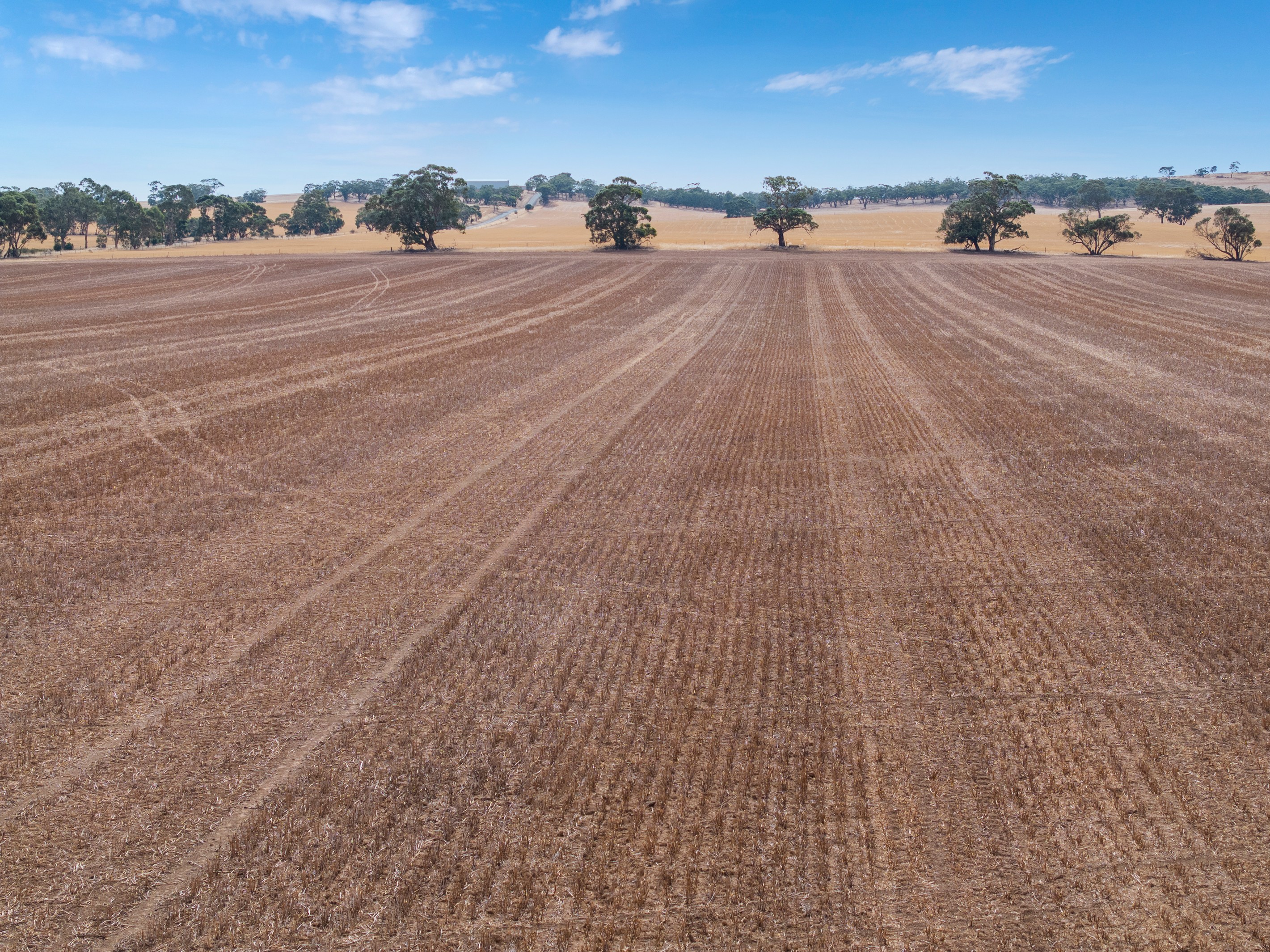 'Murrays' Orana Road, Marrabel, SA 5413