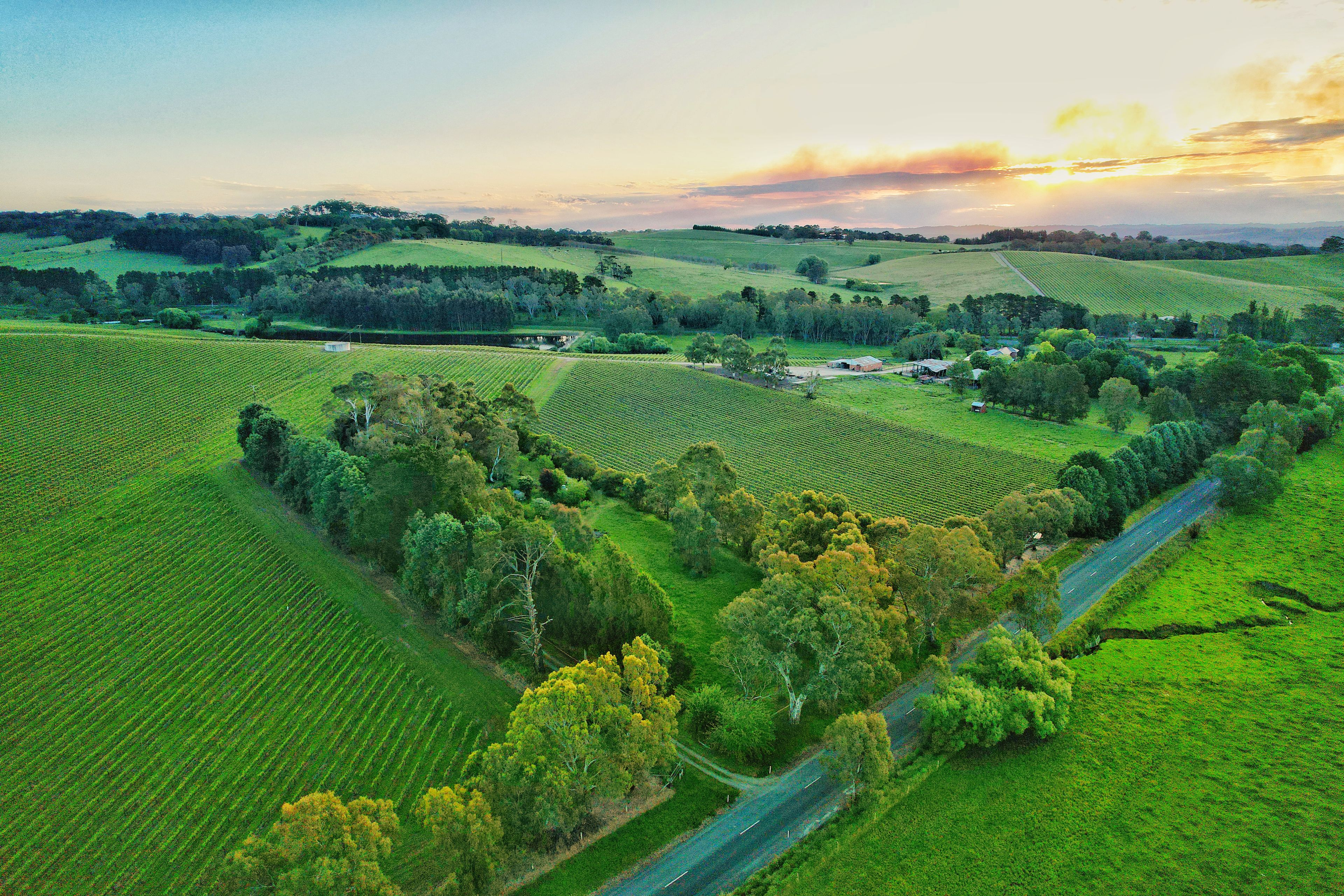 62 Mattners Road, Balhannah, SA 5242