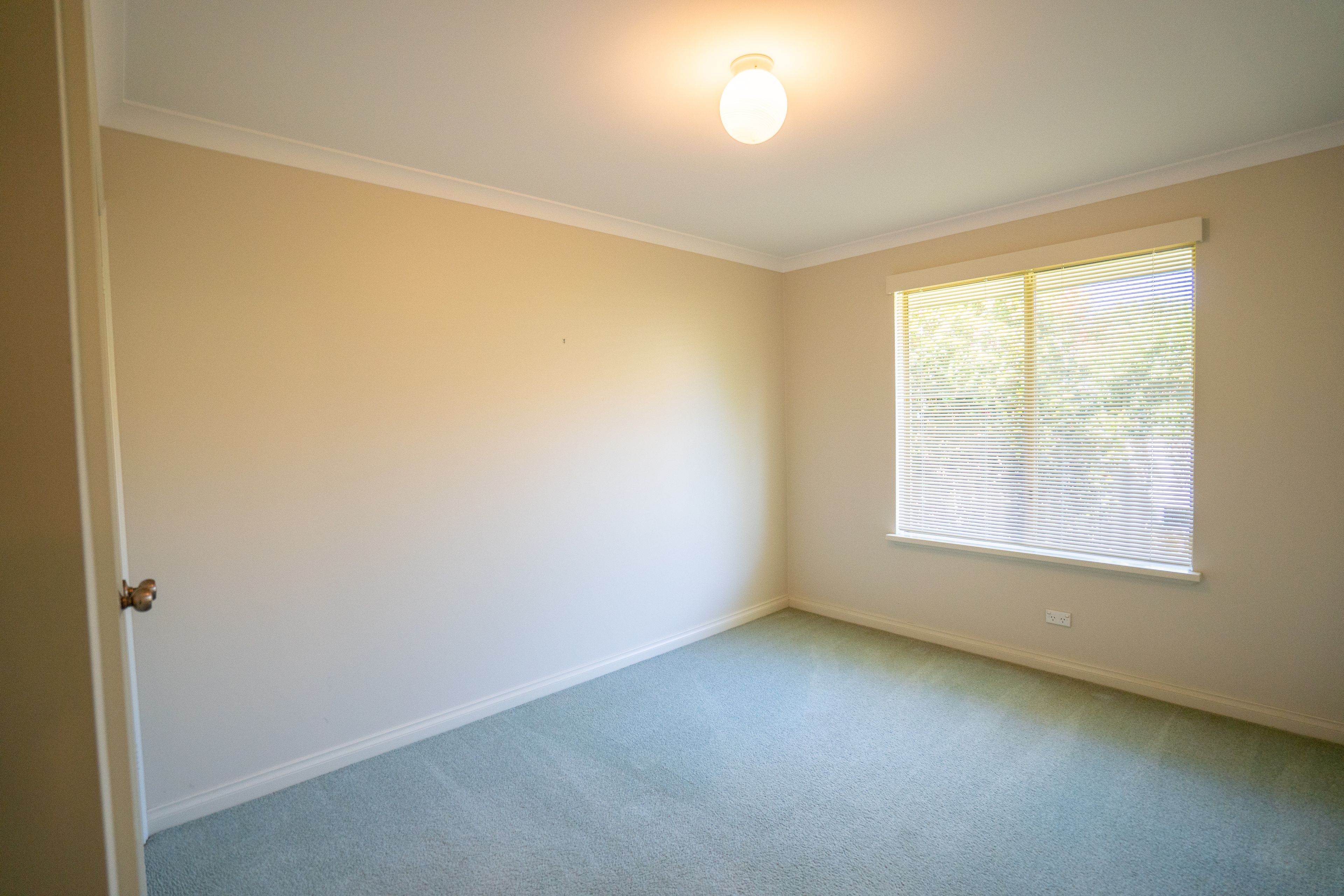 81 Allwood Parade — photo 11 of 19