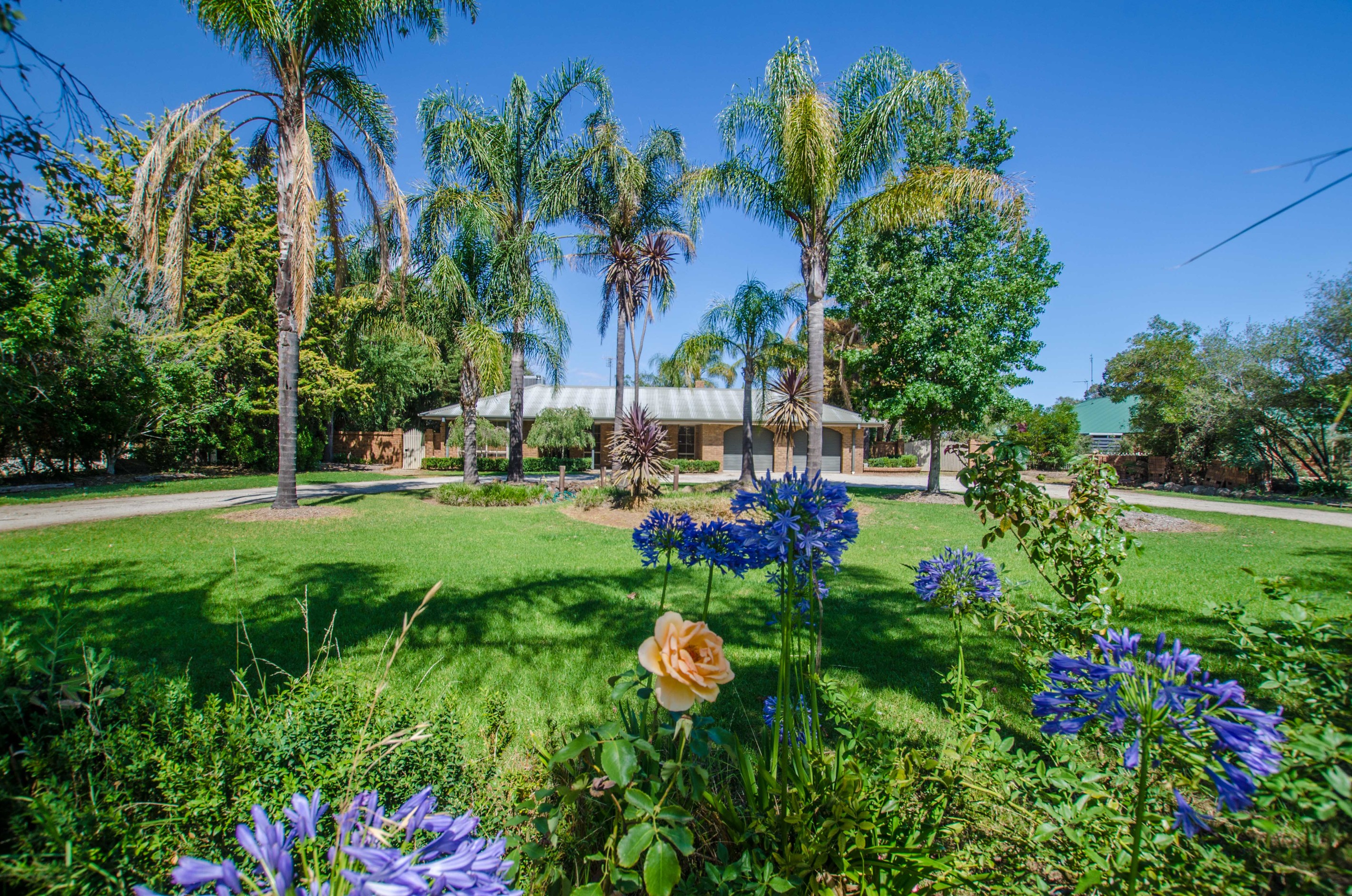 203 Wharparilla Drive, Echuca, VIC 3564