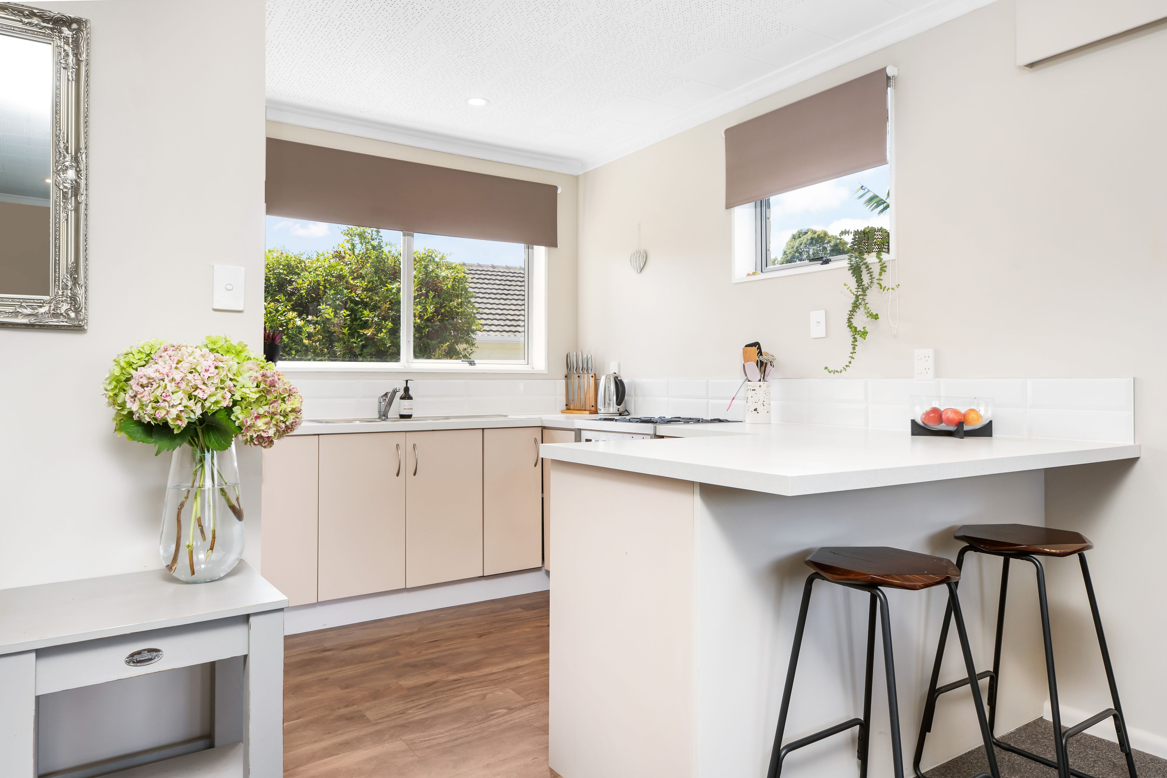 2/8 Deejay Lane, Spreydon, Christchurch City