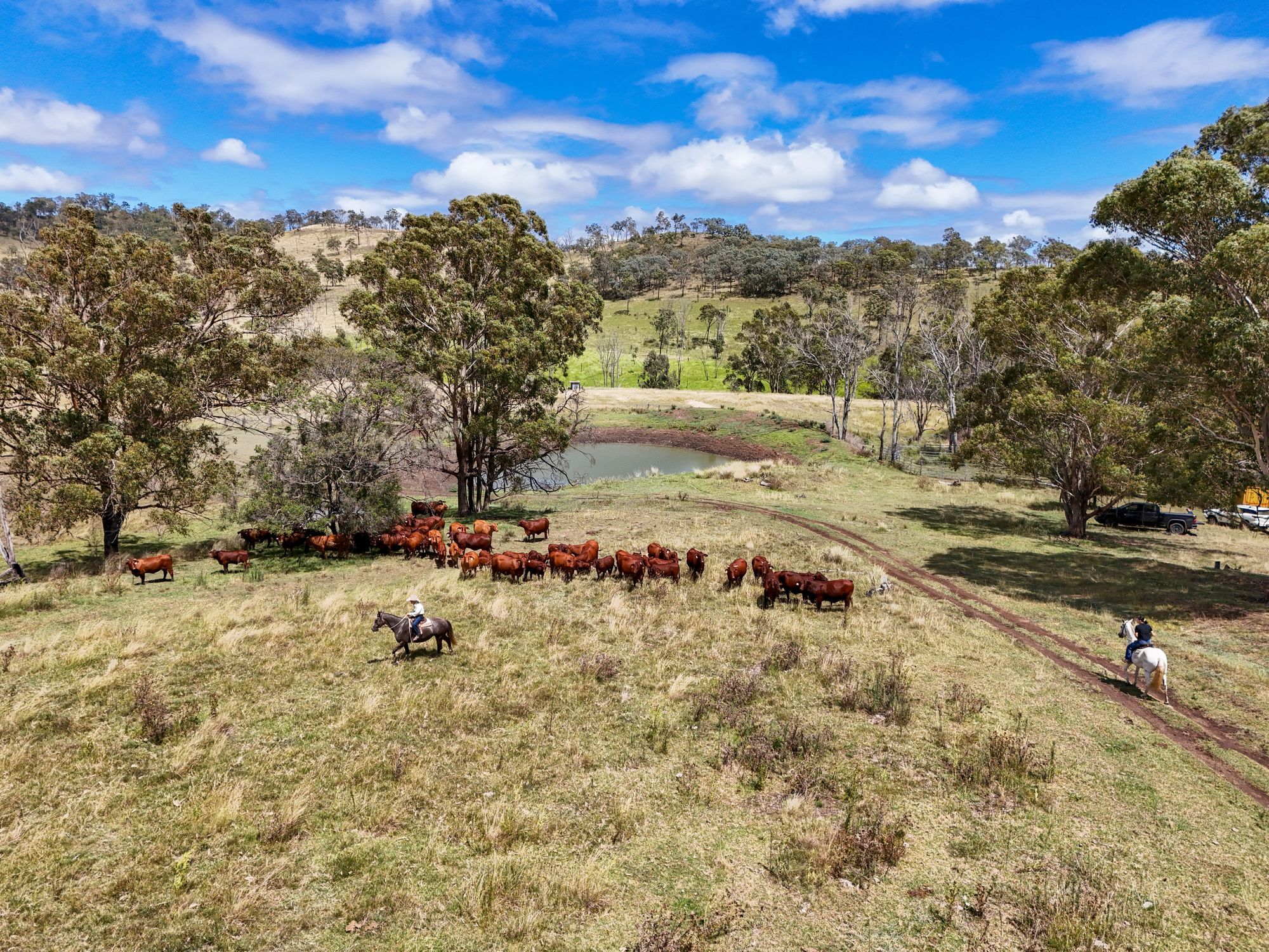 256 Paradise Road, Mount Sylvia, QLD 4343