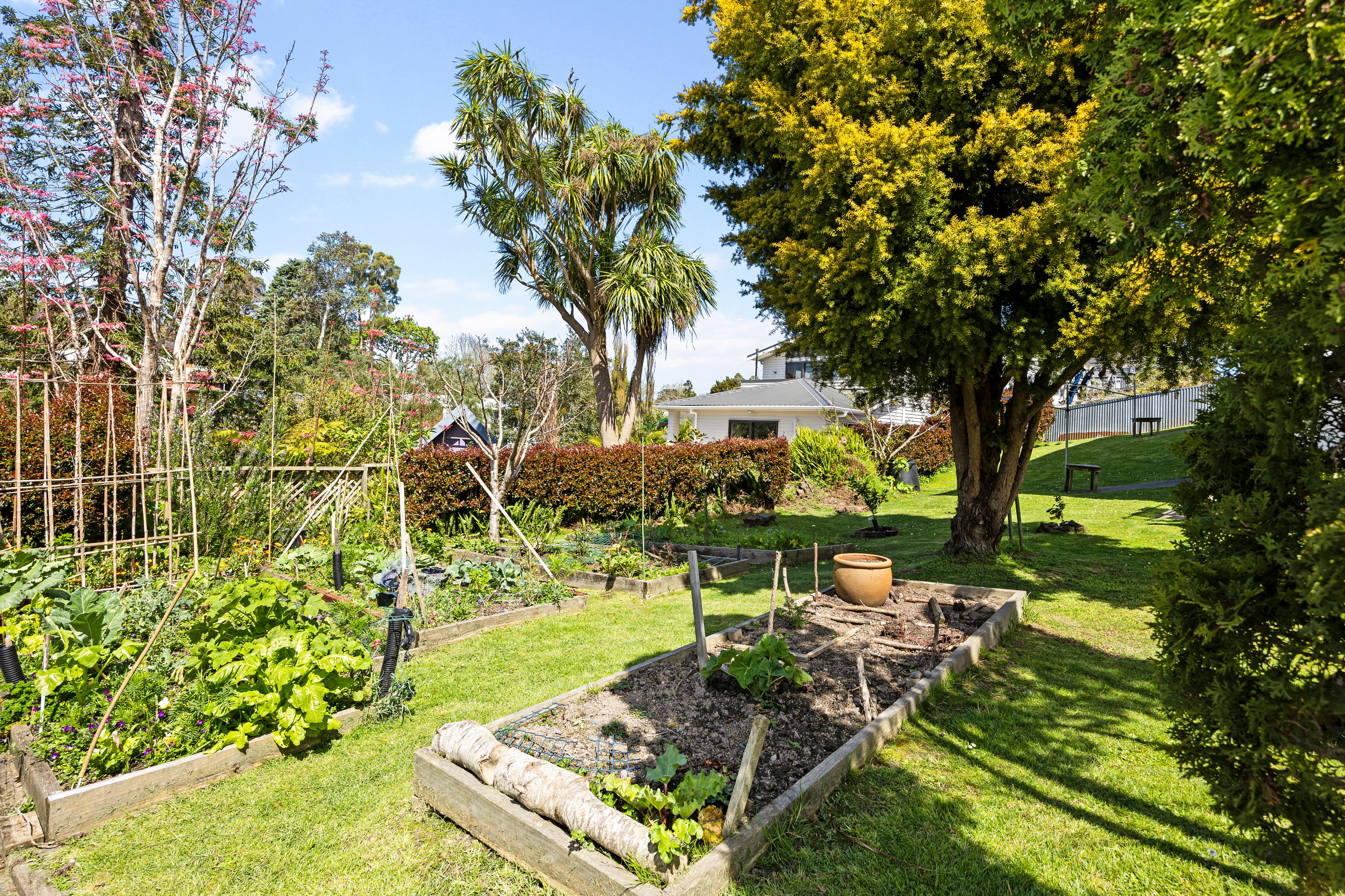 11/16 Willerton Avenue, New Lynn, Waitakere City