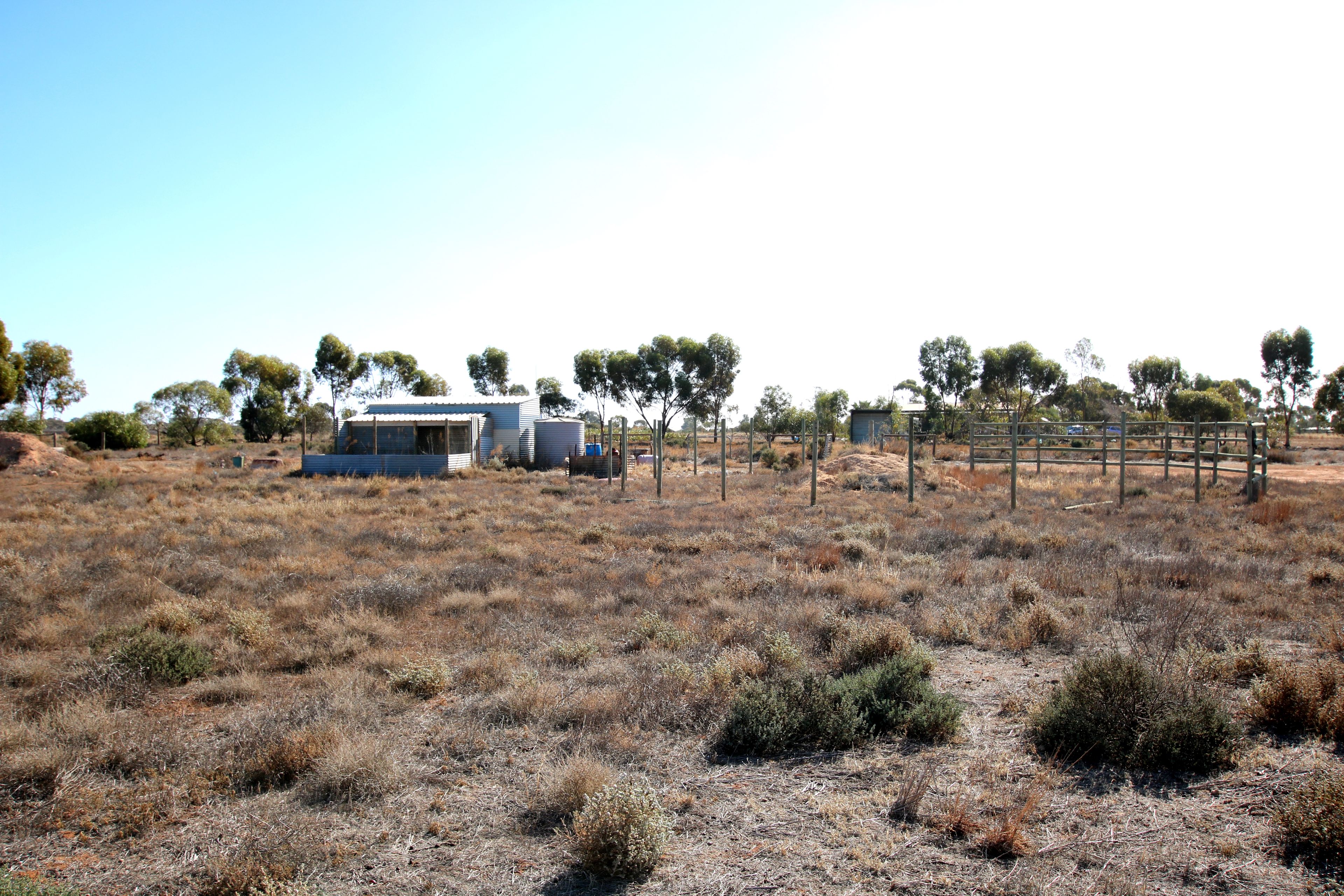 690A Thiele Road, Loveday, SA 5345