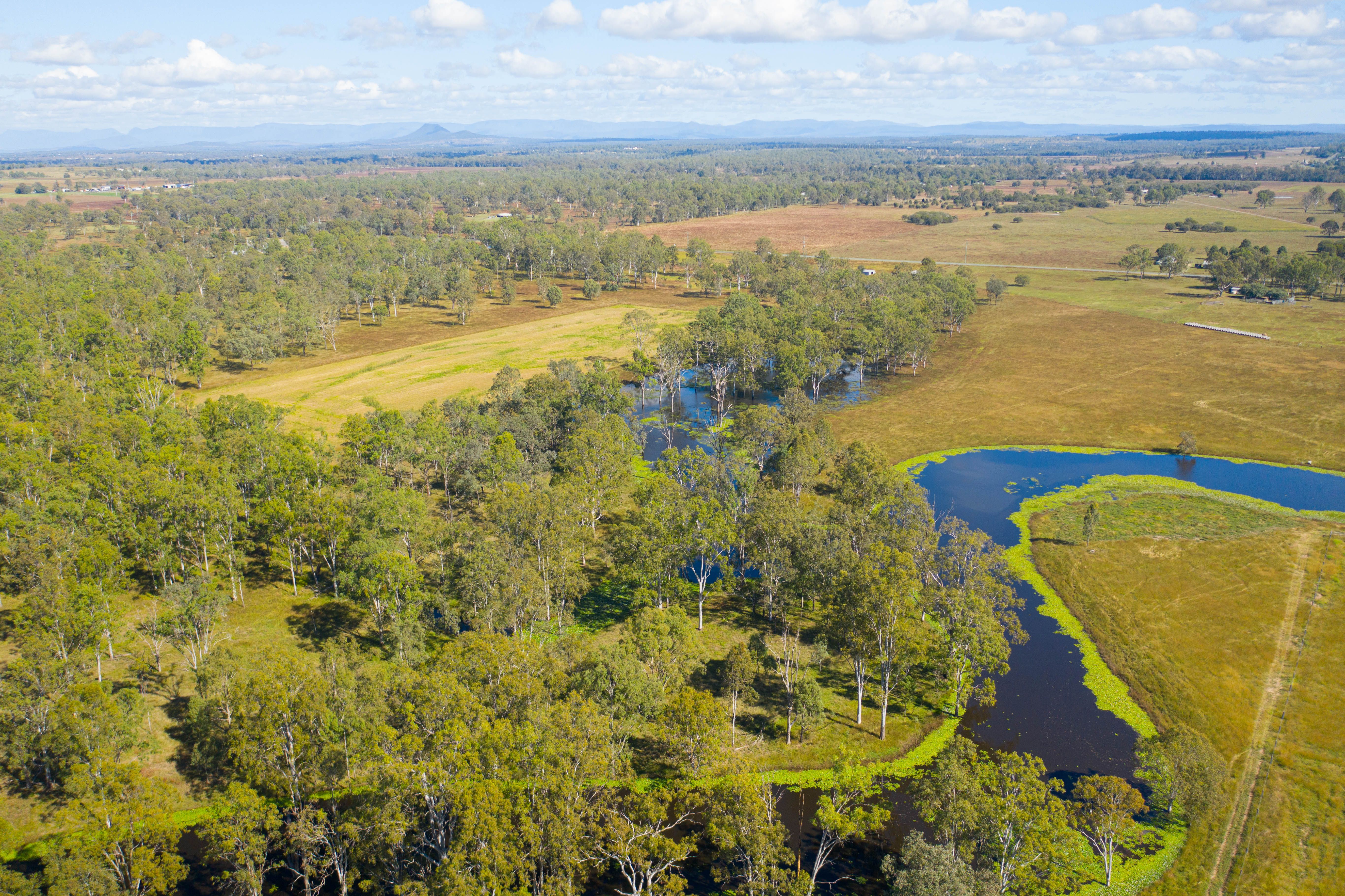 126 Middle Road, Purga, QLD 4306