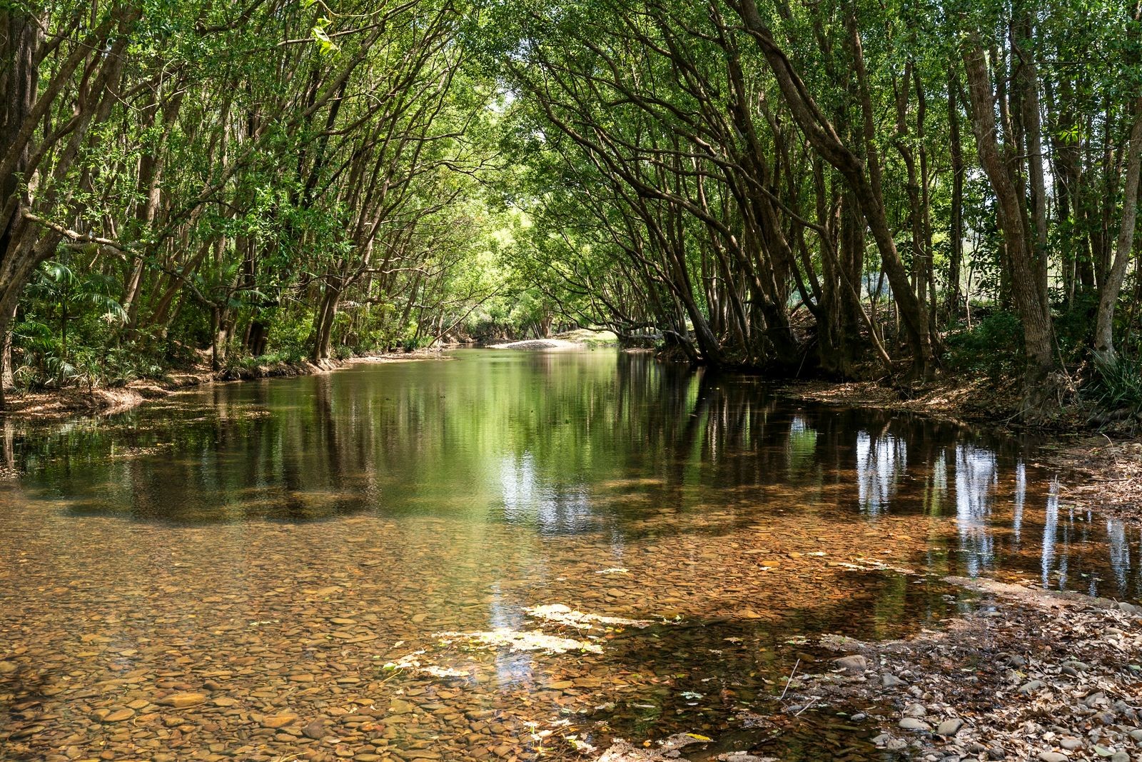 981 Numinbah Road, Crystal Creek, NSW 2484