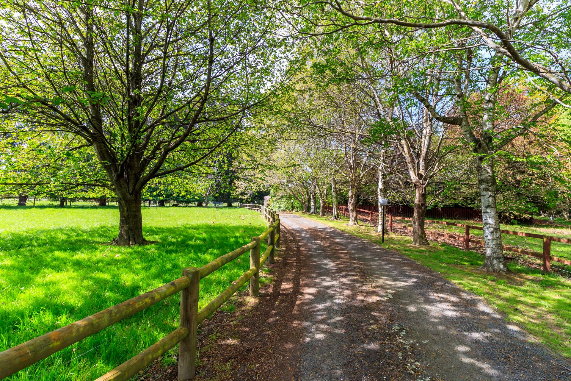 19 Tirohanga Road photo 5