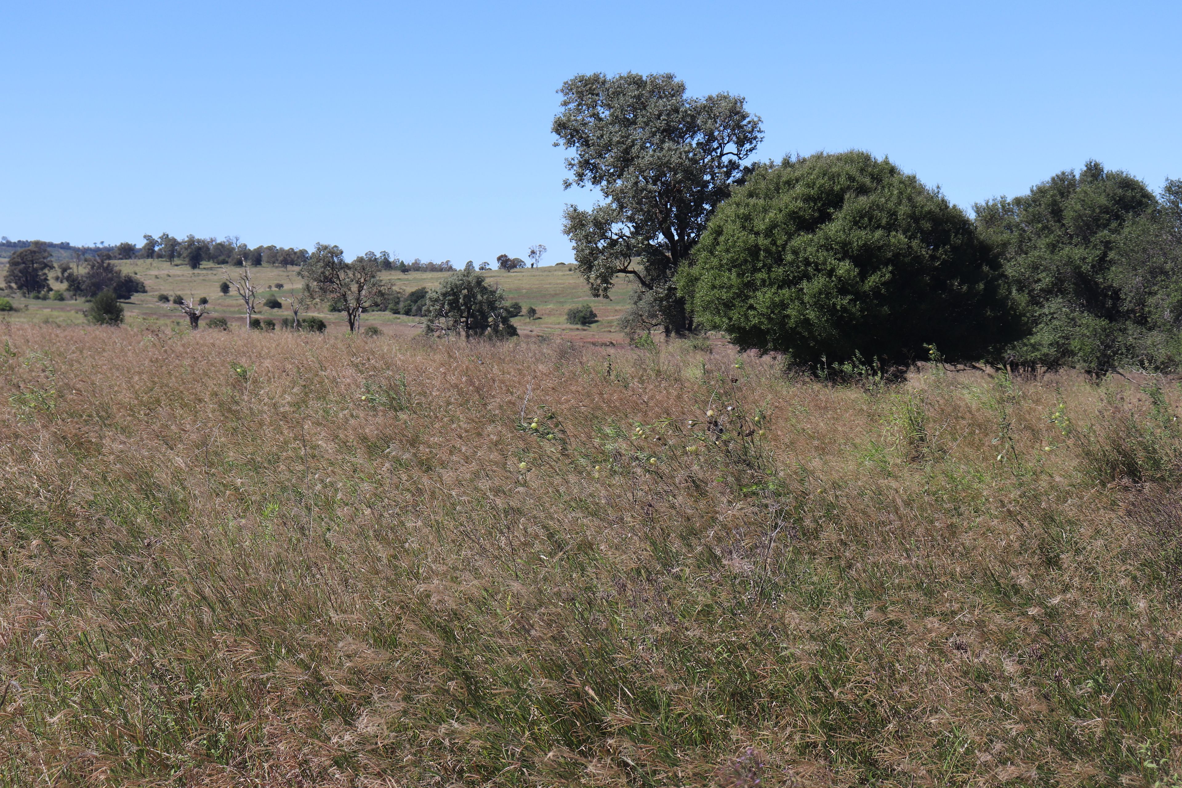 'Okeden' Okeden Byanda Road, Speedwell, Proston, QLD 4613 Sold Rural