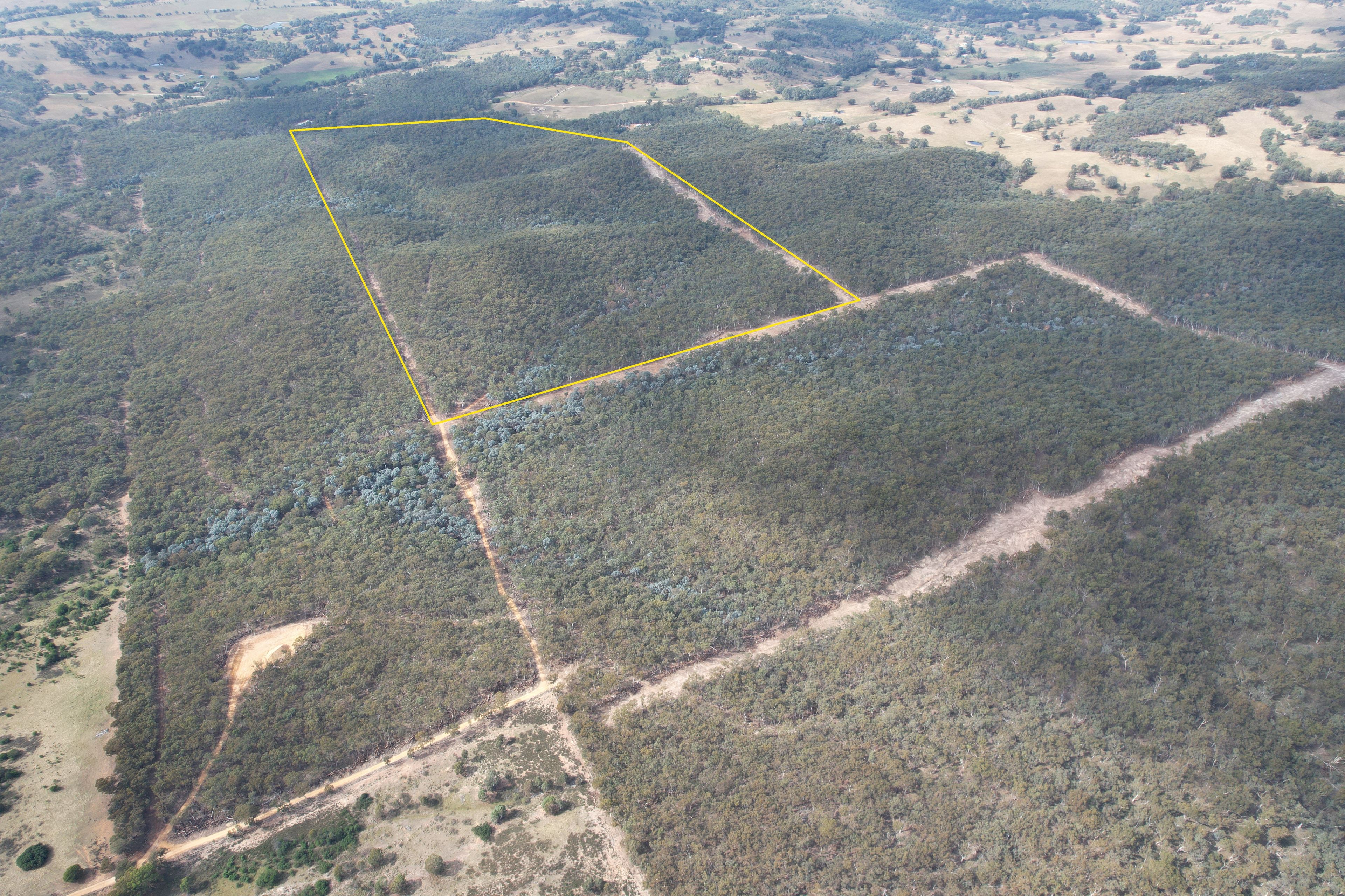 Lot 101 Collector Road, Gunning, NSW 2581