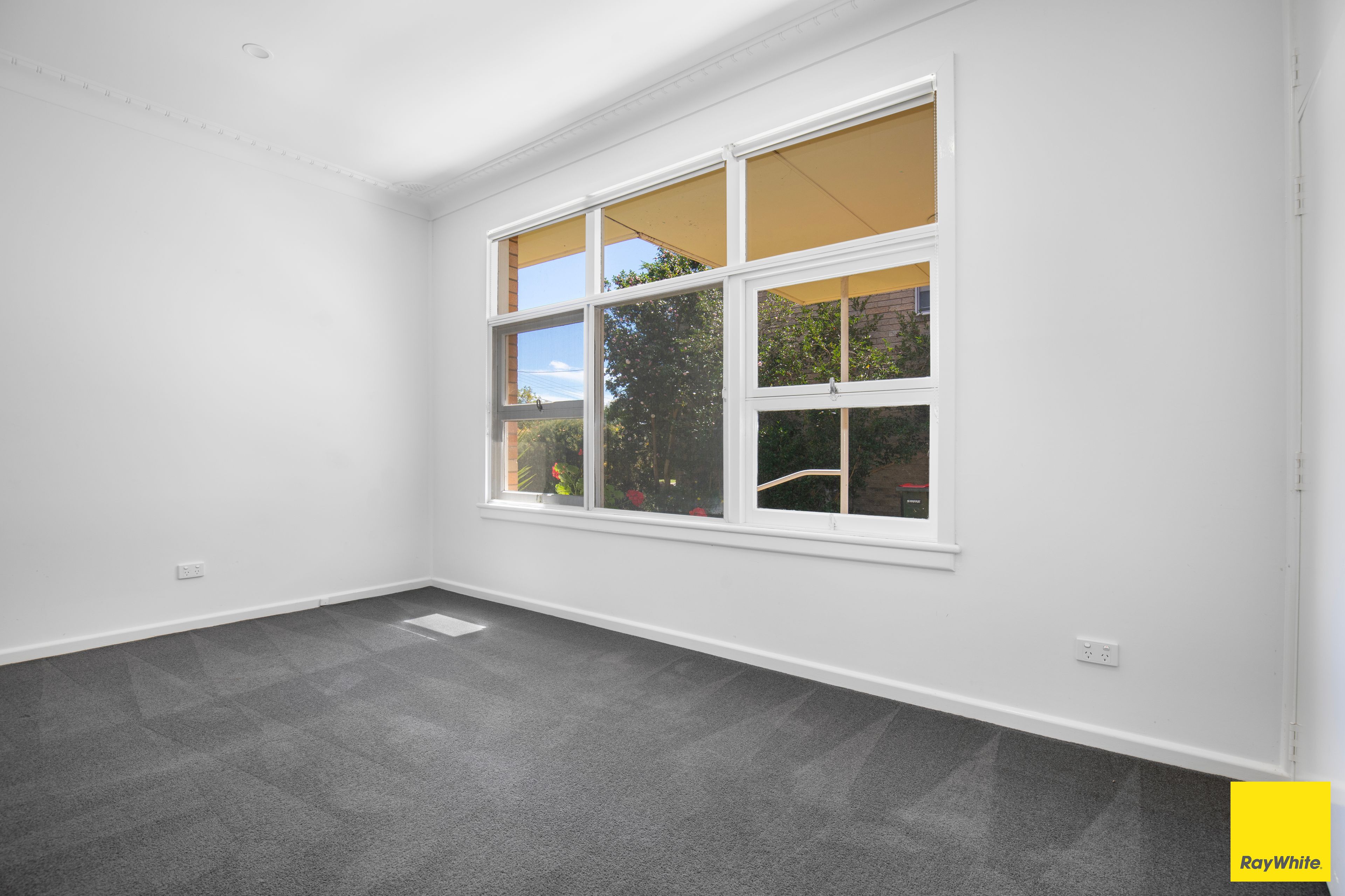 11 Proctor Street — photo 5 of 10