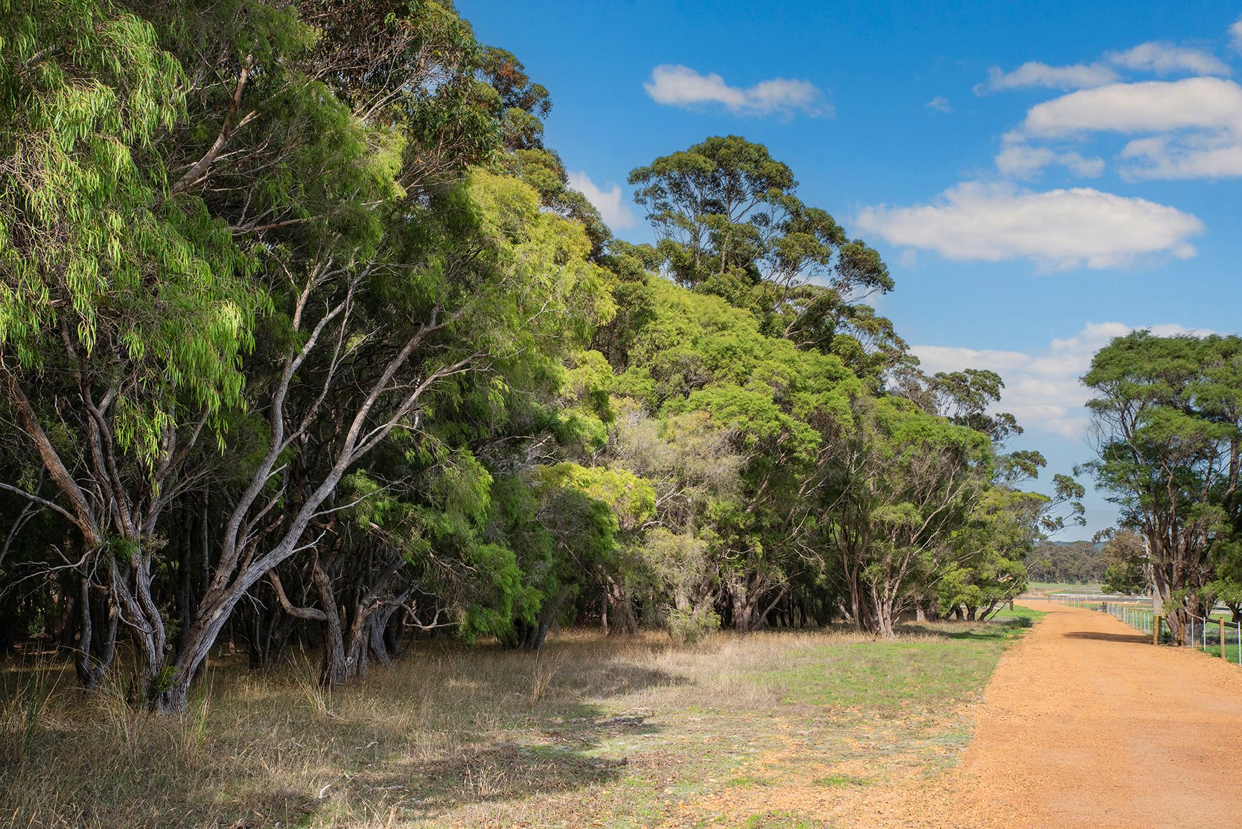 PL 349 Firetail Rise, Karridale, WA 6288 Land for Sale Ray White