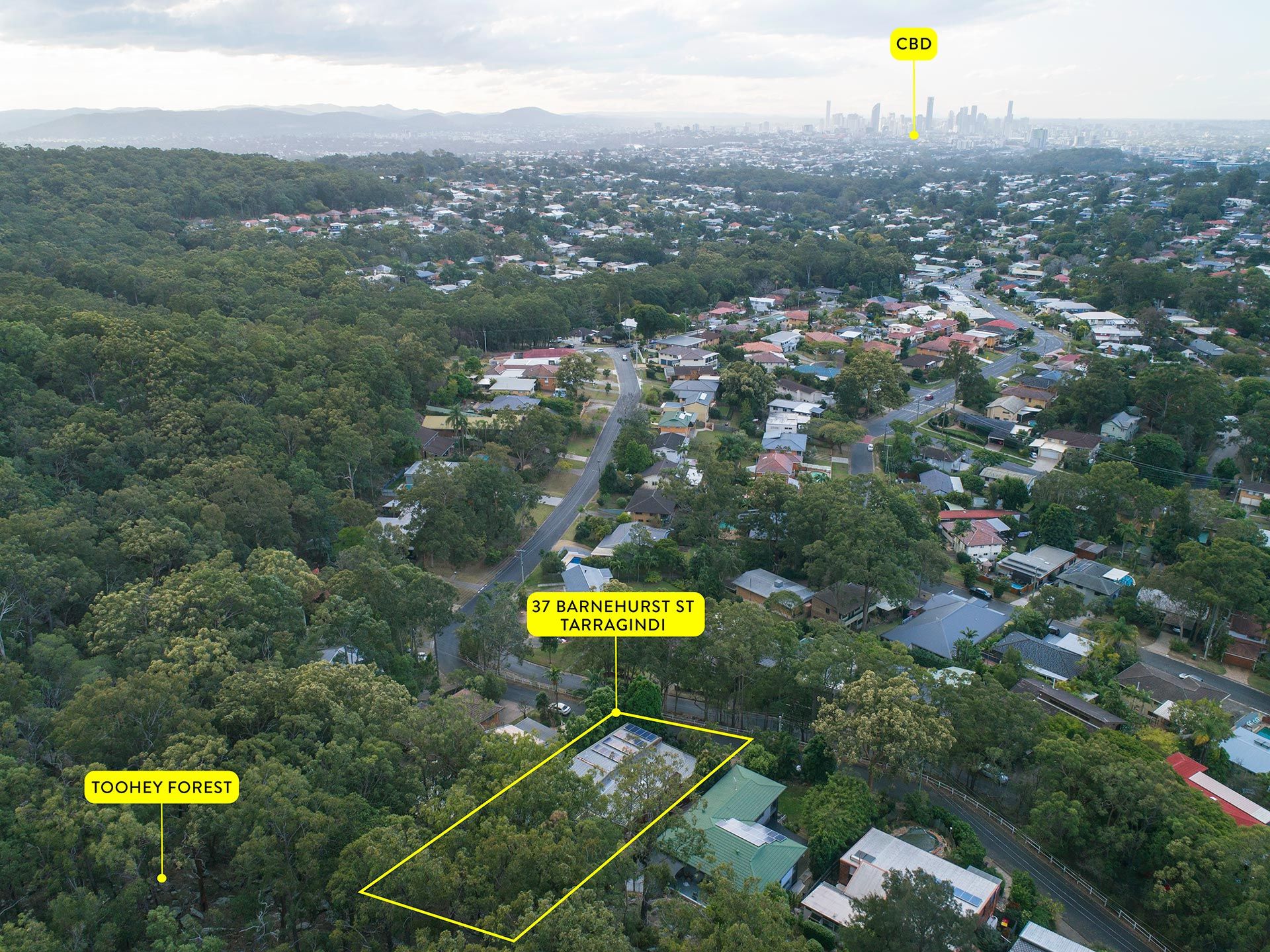 37 Barnehurst Street, Tarragindi, QLD 4121