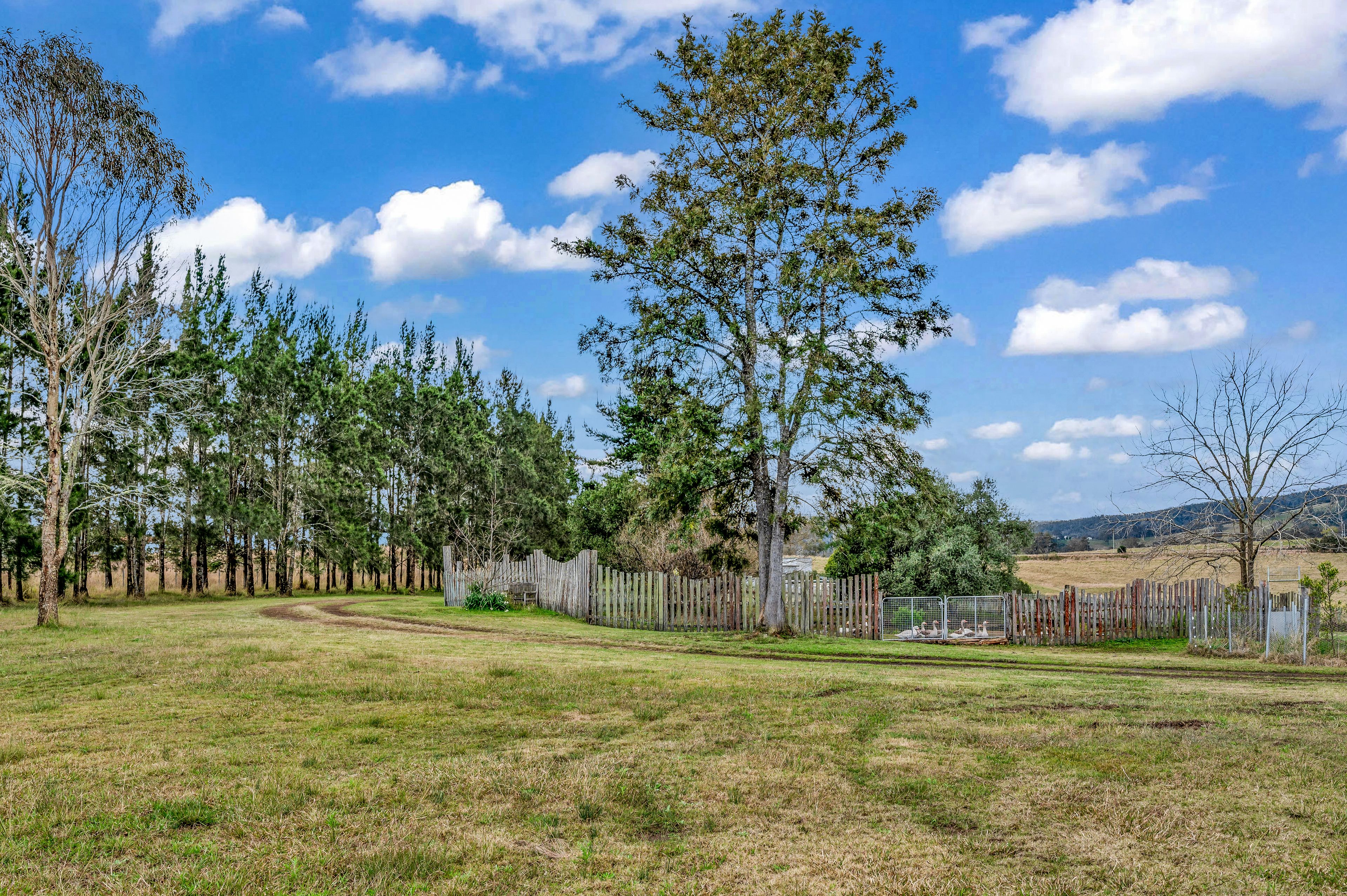 63 Monkerai Road, Dungog, NSW 2420 Sold Acreage/SemiRural Ray