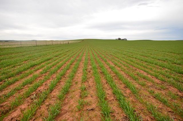 "North Kimbo" Reilly Road, Booborowie SA 5417