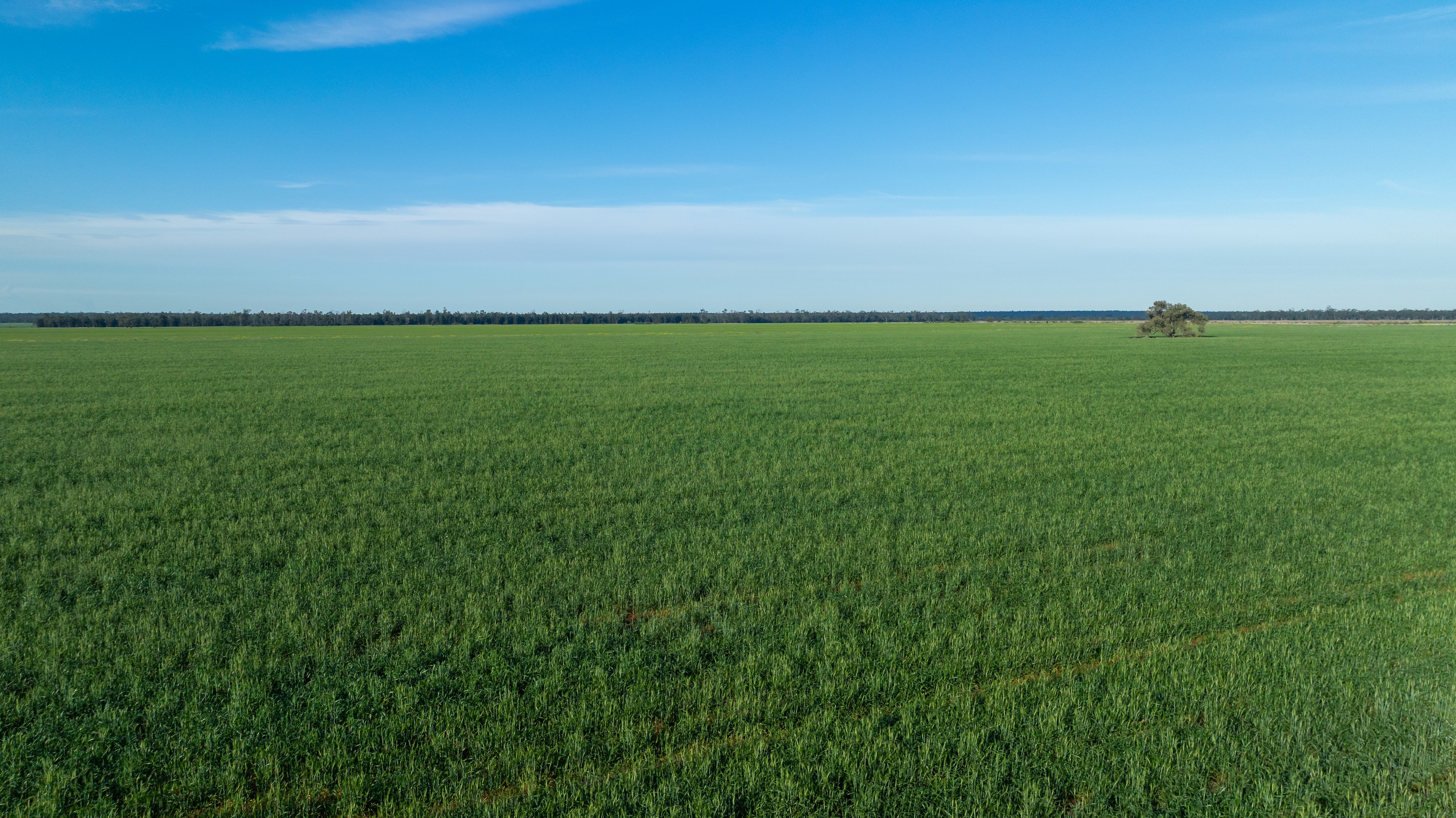 "LEVON" 1379 Bendee Road, WESTMAR, QLD 4422