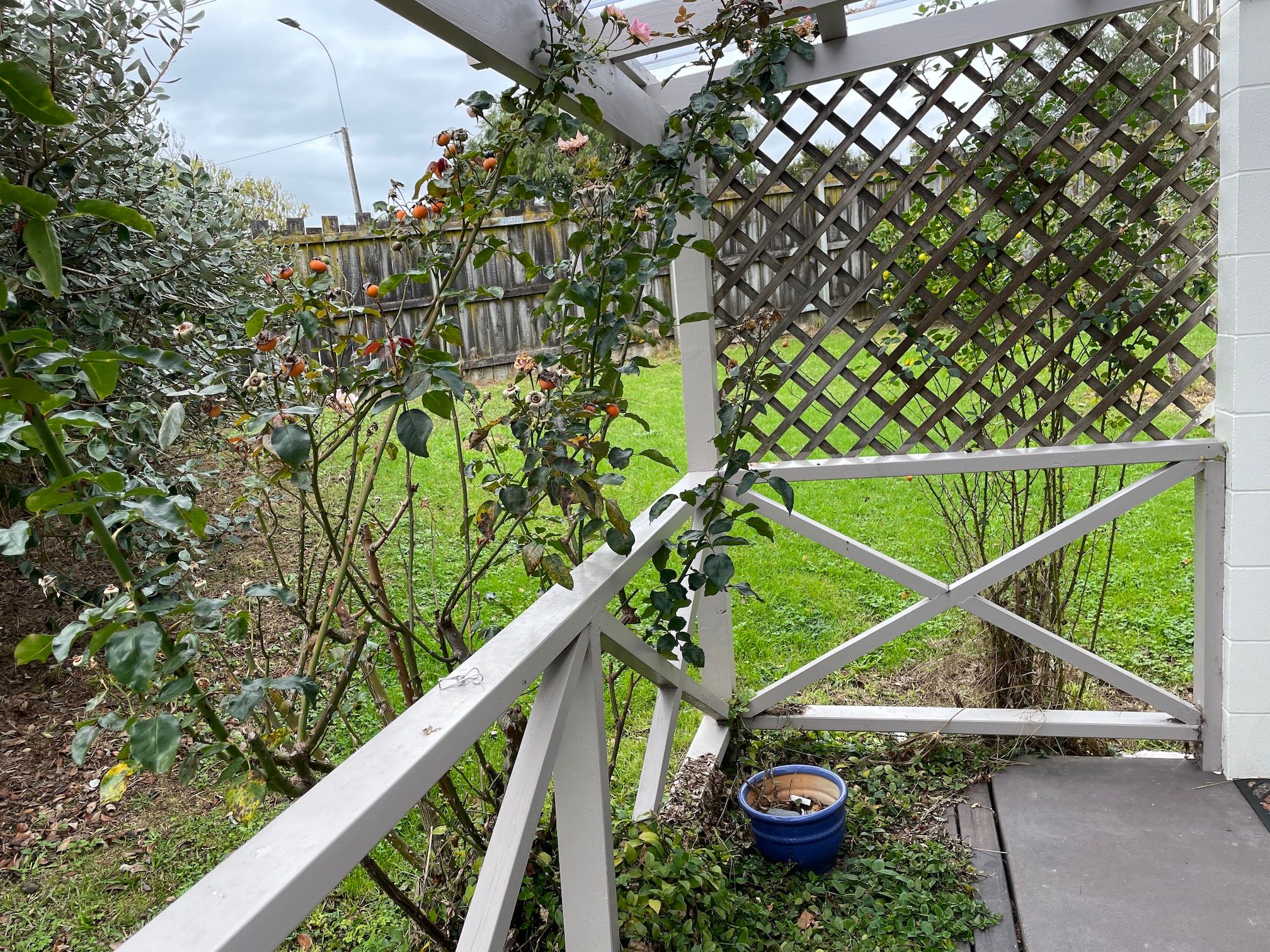 1,2,3/2 Chartwell Avenue, Glenfield, North Shore City