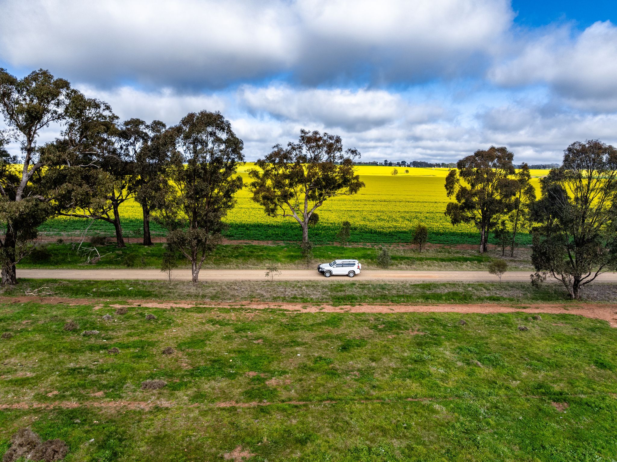 "West Ardnaree" Cnr Newell & Kurrawbya Roads, TUBBUL VIA — photo 21 of 26
