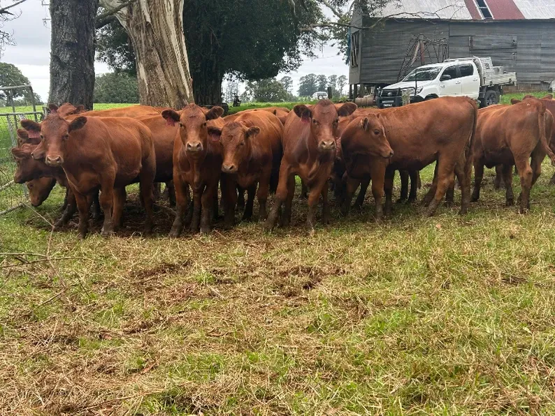 MA & ML Kellett, Deer Vale, NSW 2453