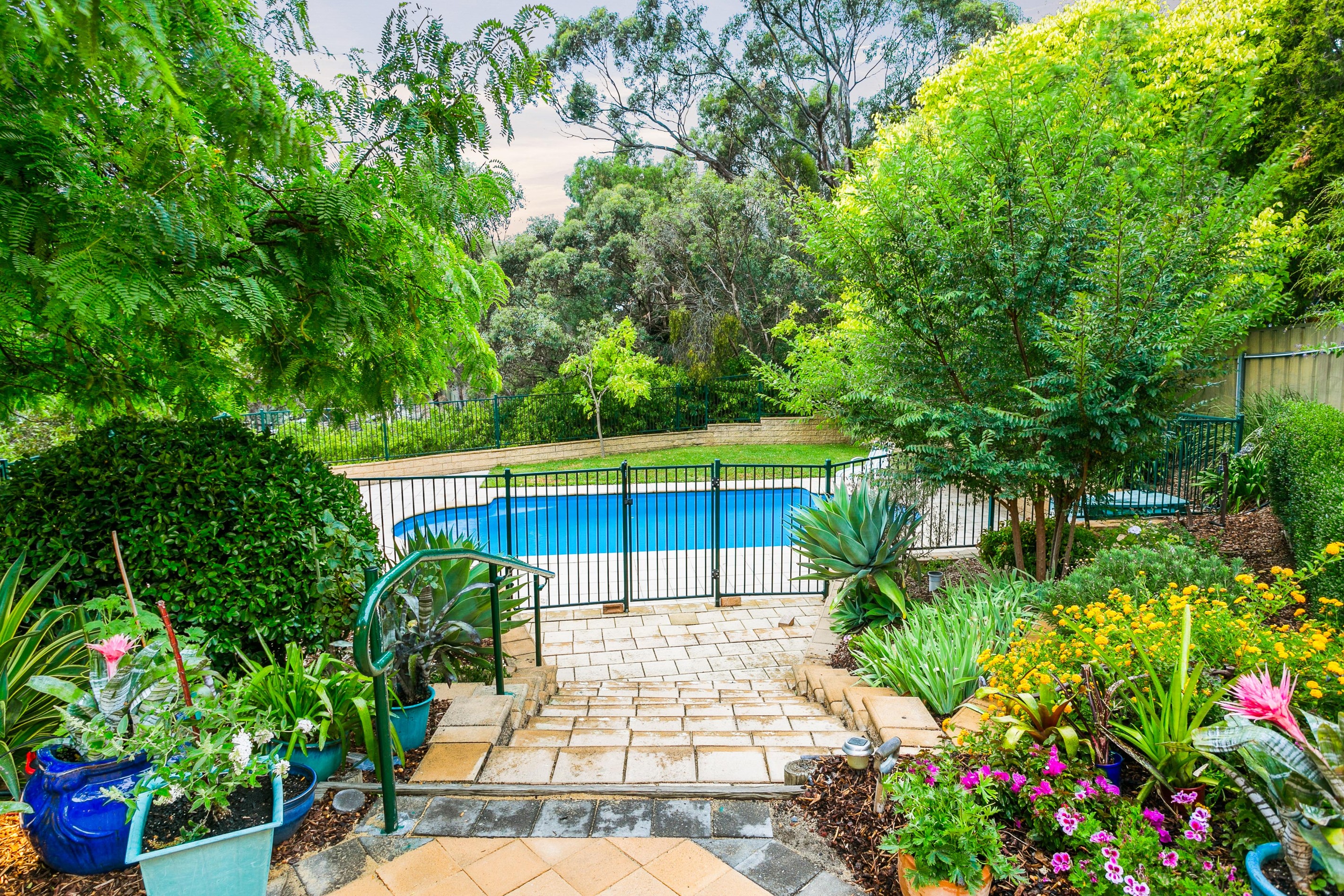 61 Greenfield Rise, Aberfoyle Park, SA 5159