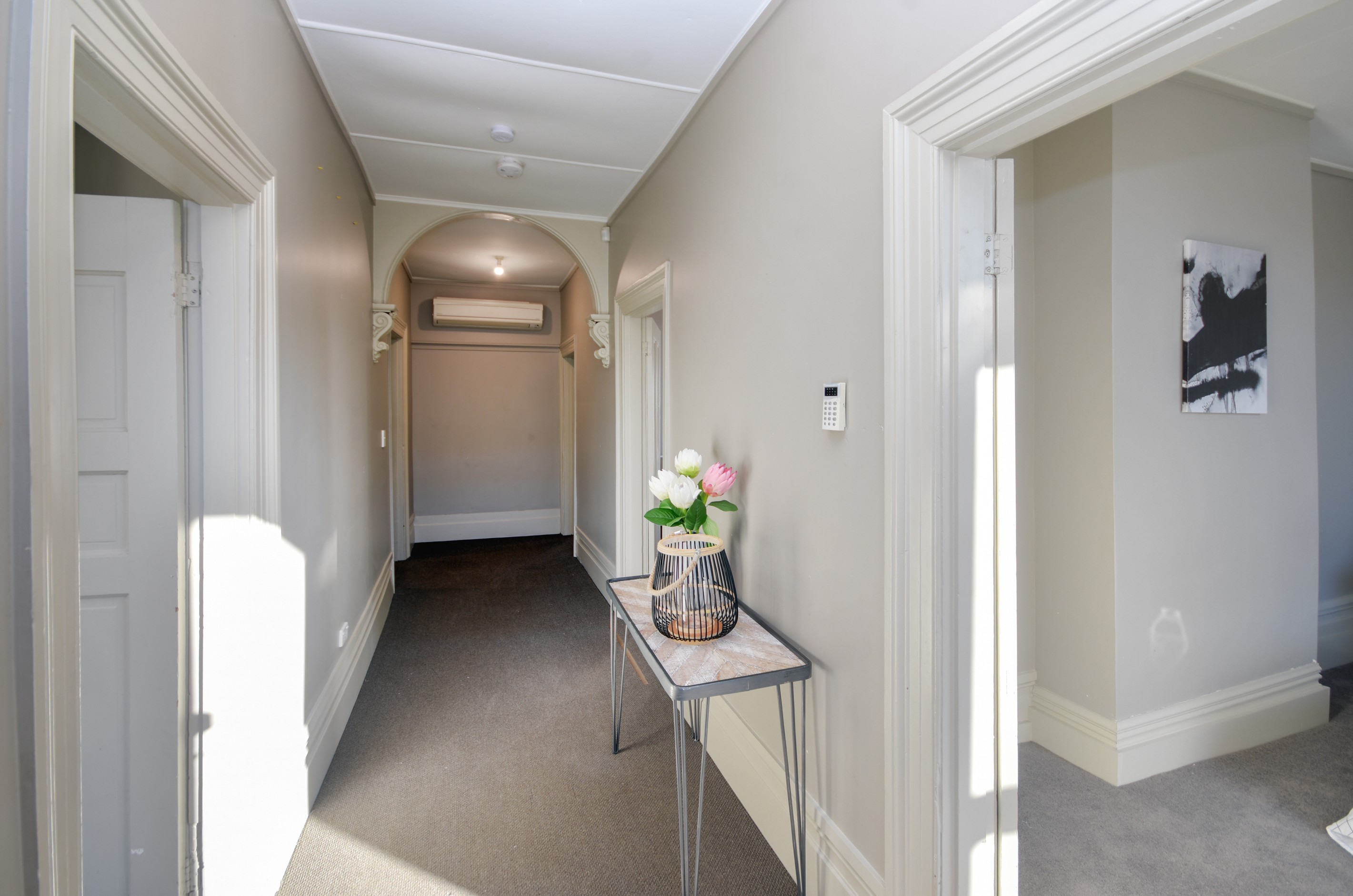 11 Lees Street, Dunedin Central, Dunedin City