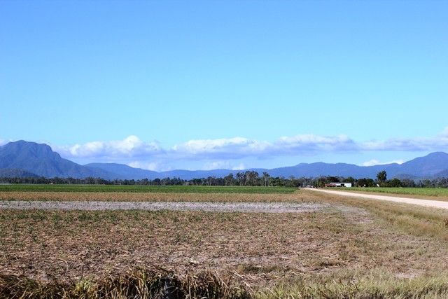 Lot 1 Scotts Road, Lannercost QLD 4850