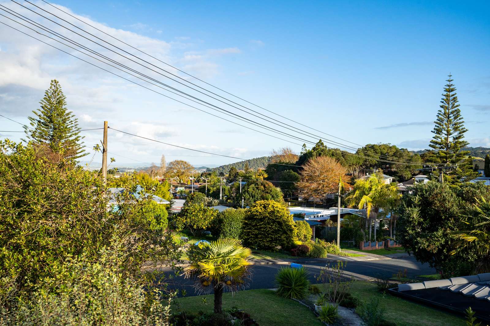 8 Adams Place, Kamo, Whangarei District Real Estate Ray White New