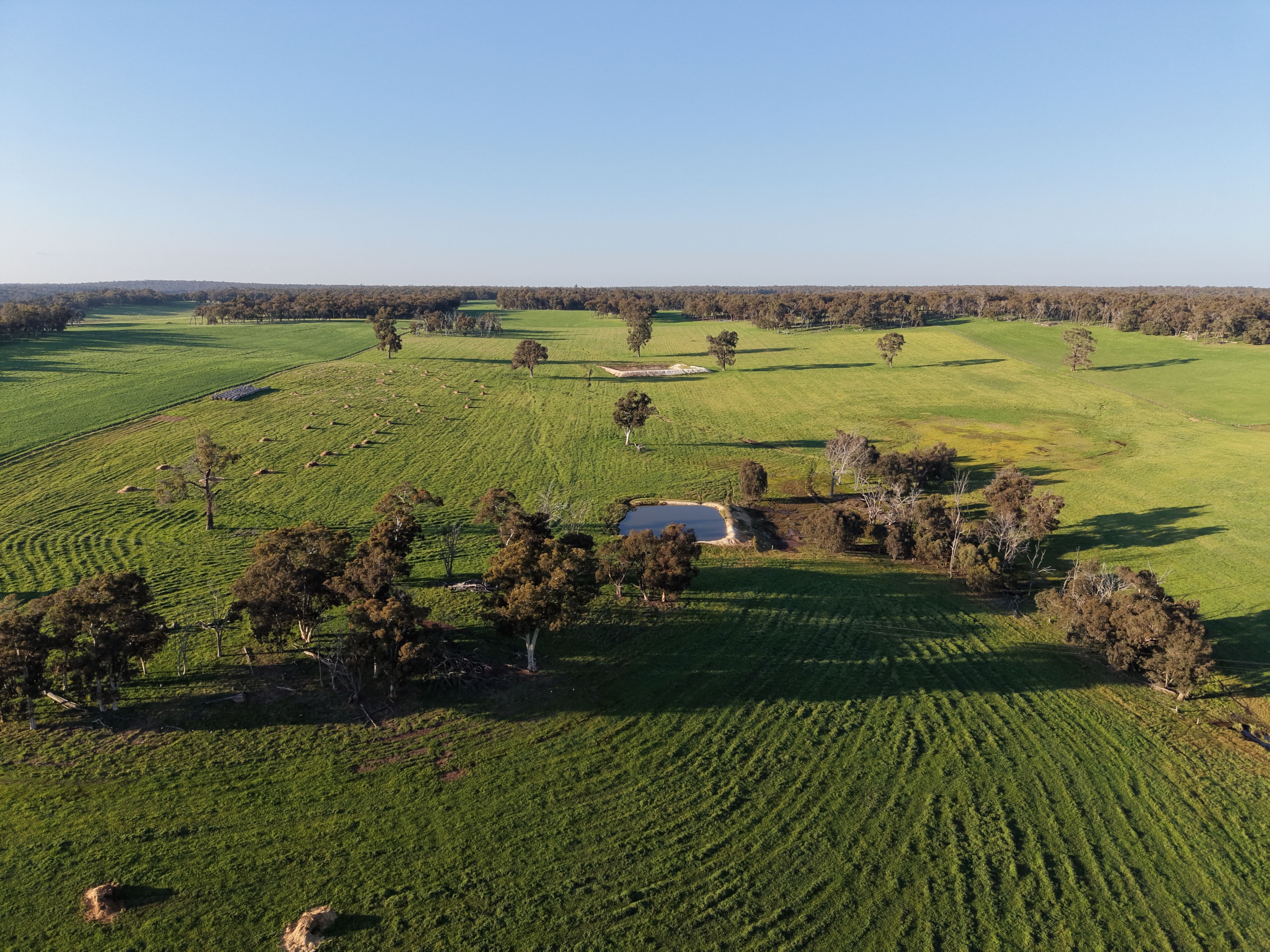 Lot 6694 Scotts Brook Road, Scotts Brook, WA 6244