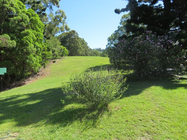135 OLD BANGALOW Road, Byron Bay, NSW 2481