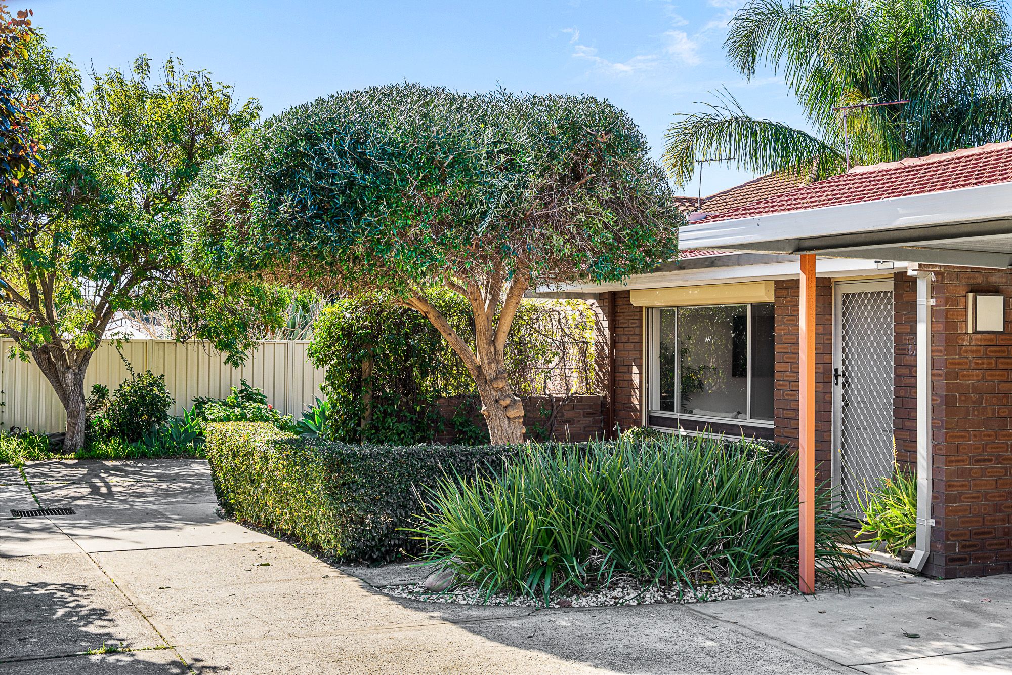 5/7 Haig Street — photo 24 of 26