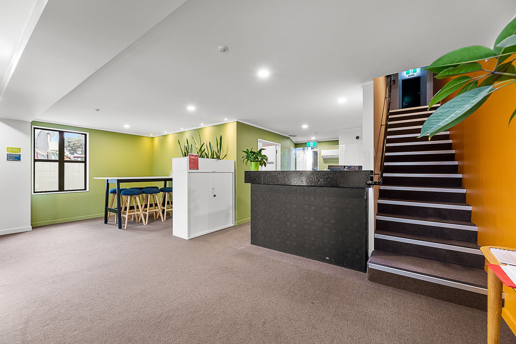 5 Russell Terrace, Blenheim, Marlborough District