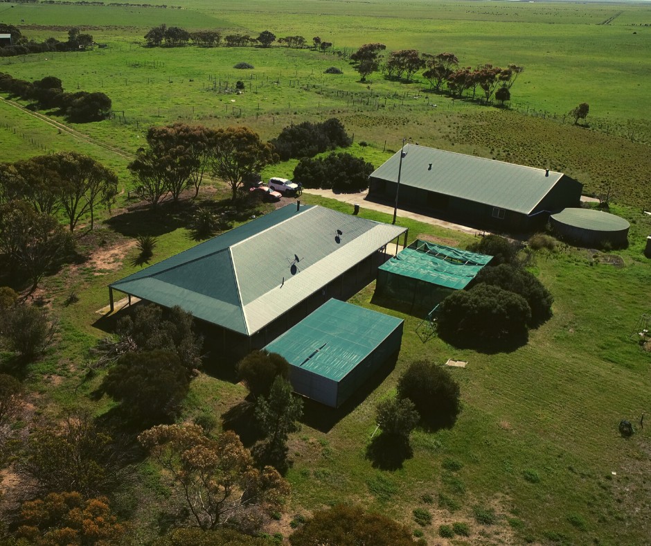 317 Nine Mile Road, Ashville, SA 5259