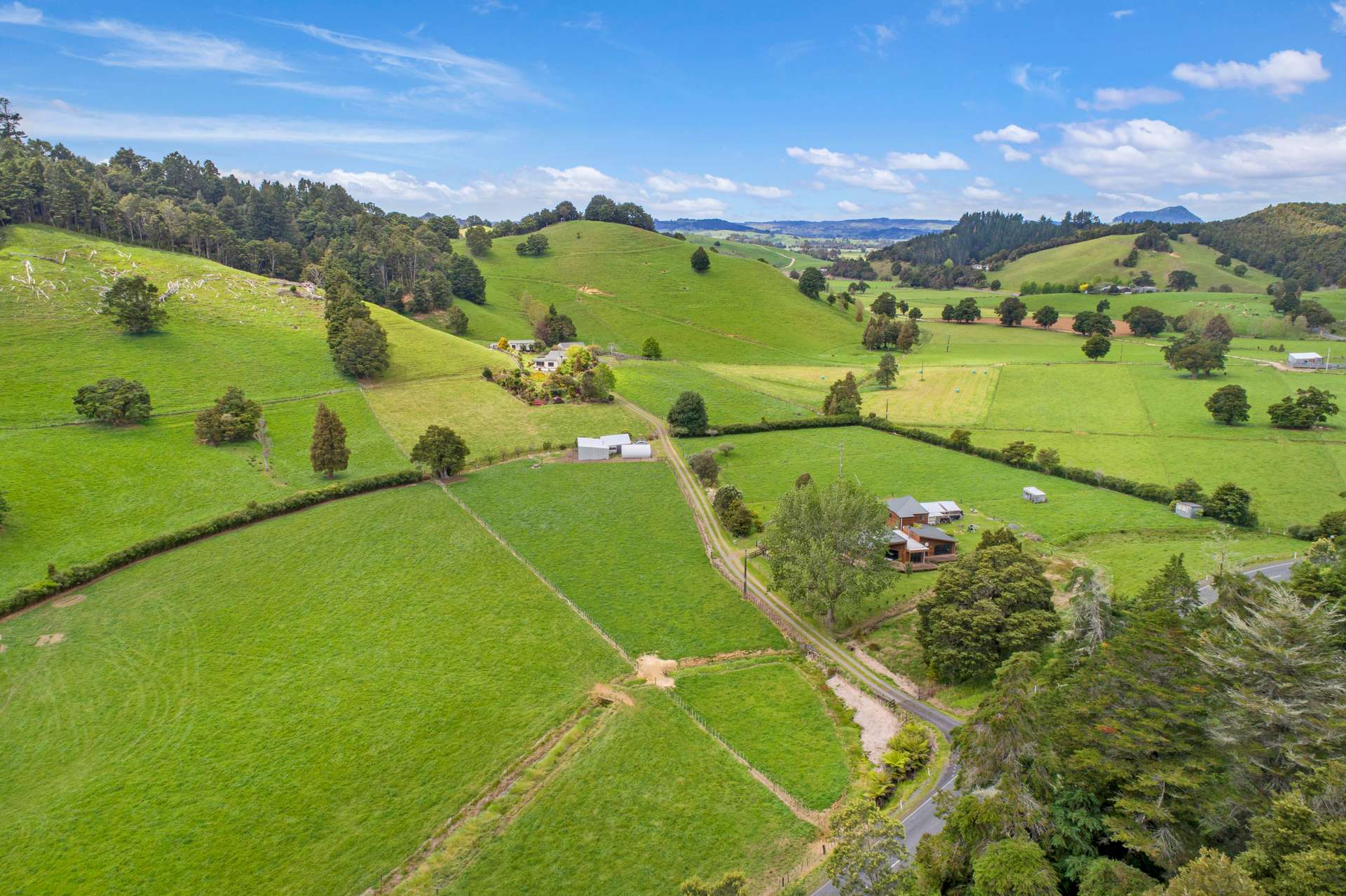 1366 Hukerenui Road photo 42