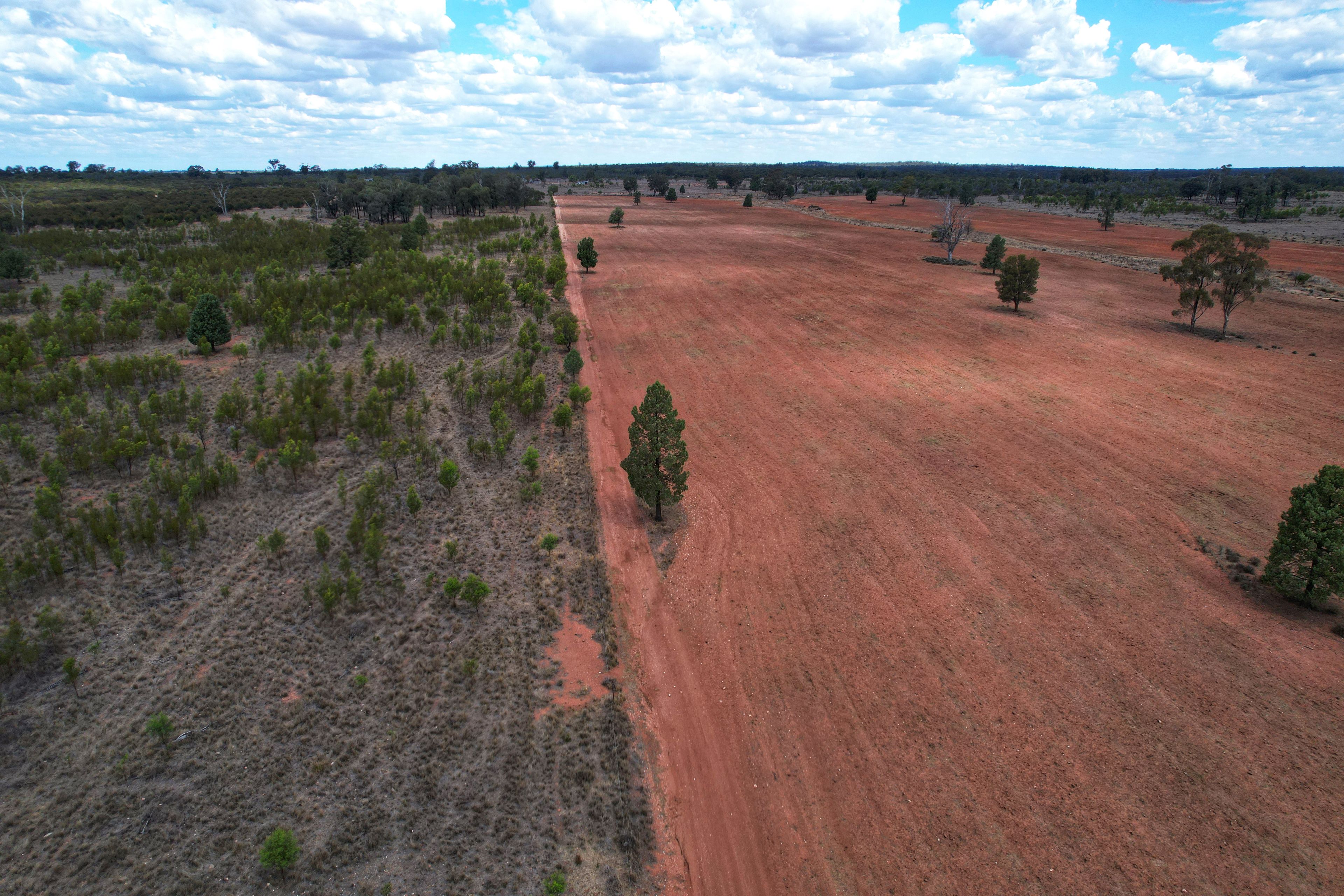 'Arakoola' 146 Bolams Road, Tullamore, NSW 2874 Rural Mixed Farming