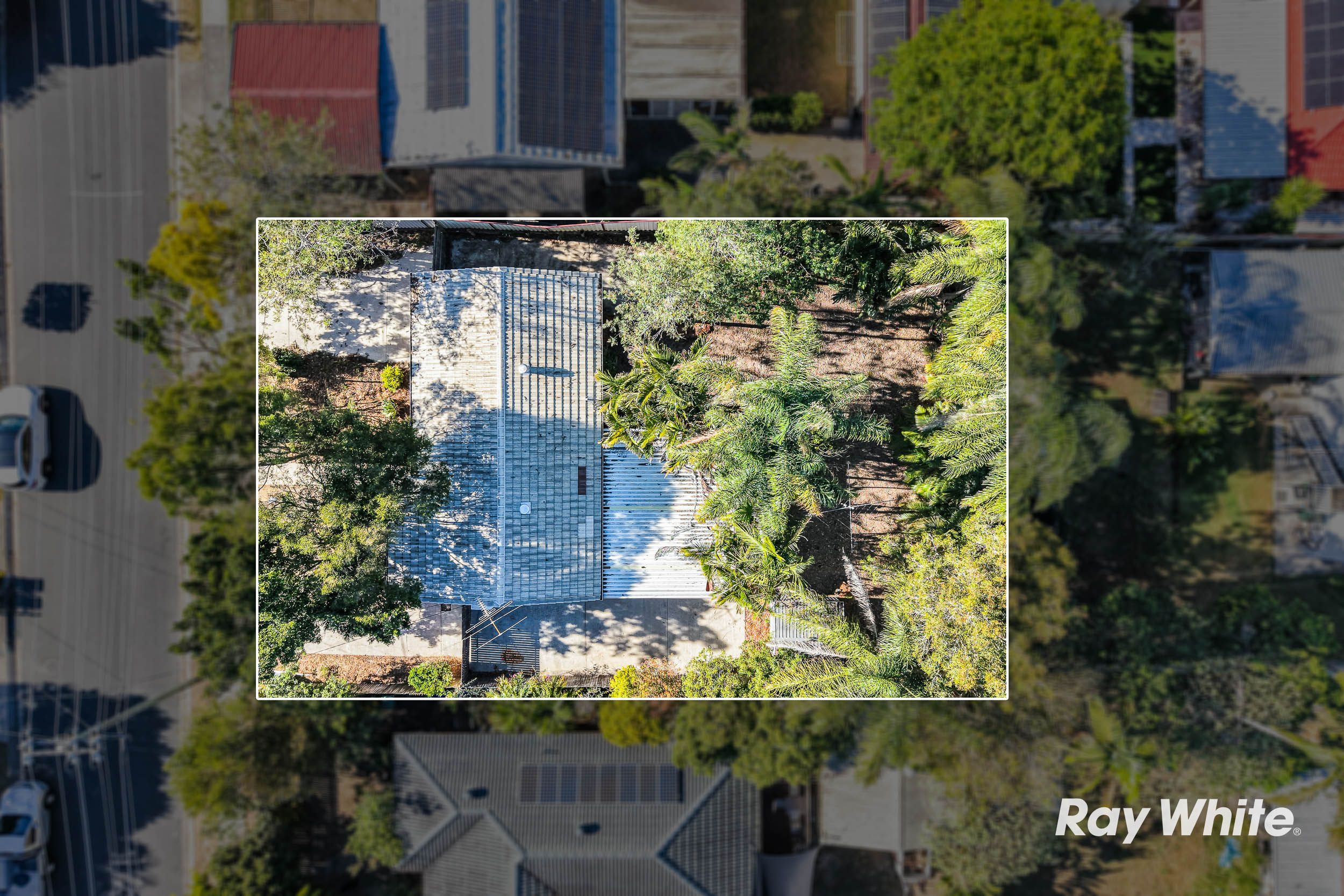 14 Dombeyah Street — photo 21 of 26