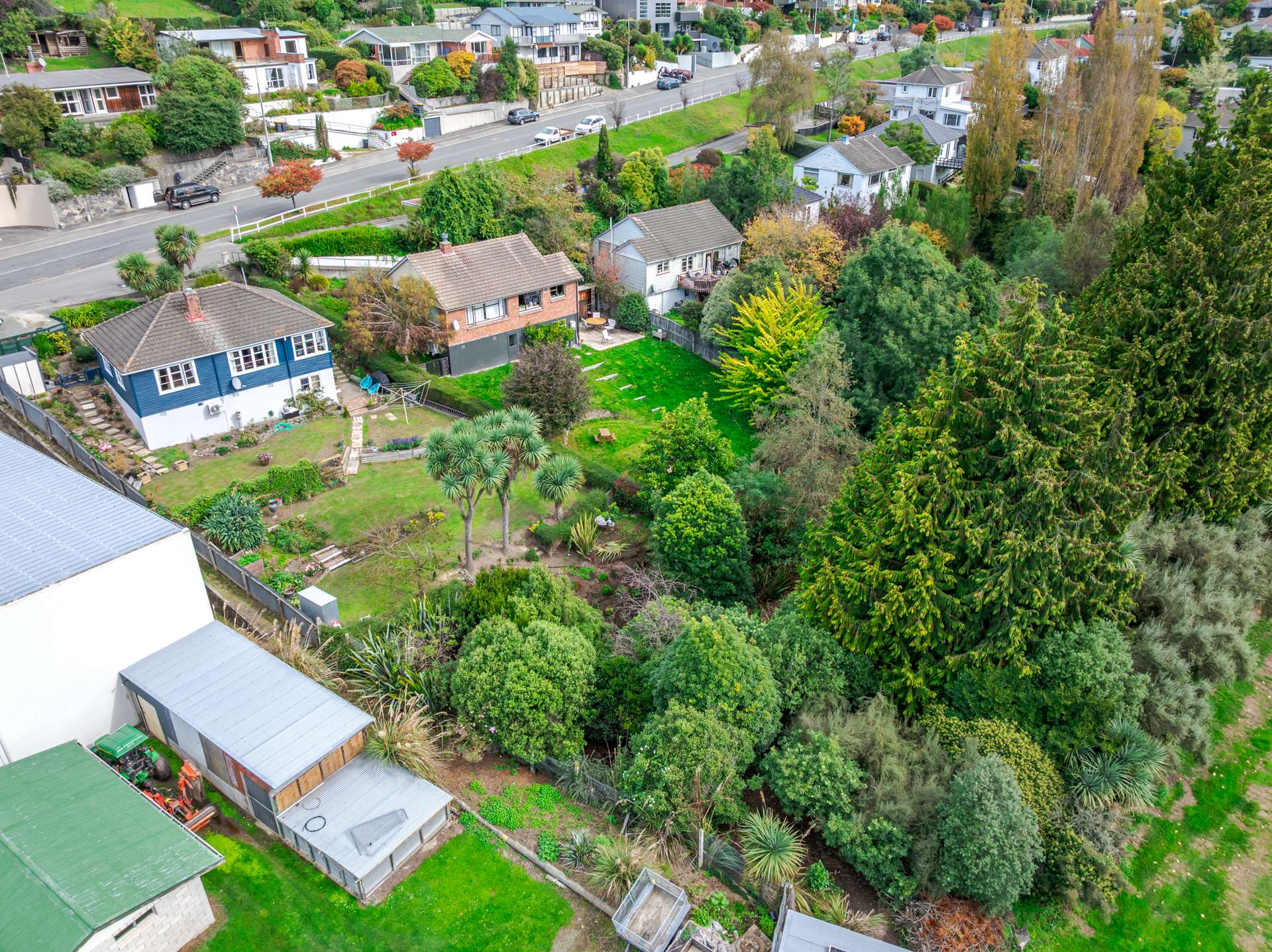 121 Douglas Street photo 32