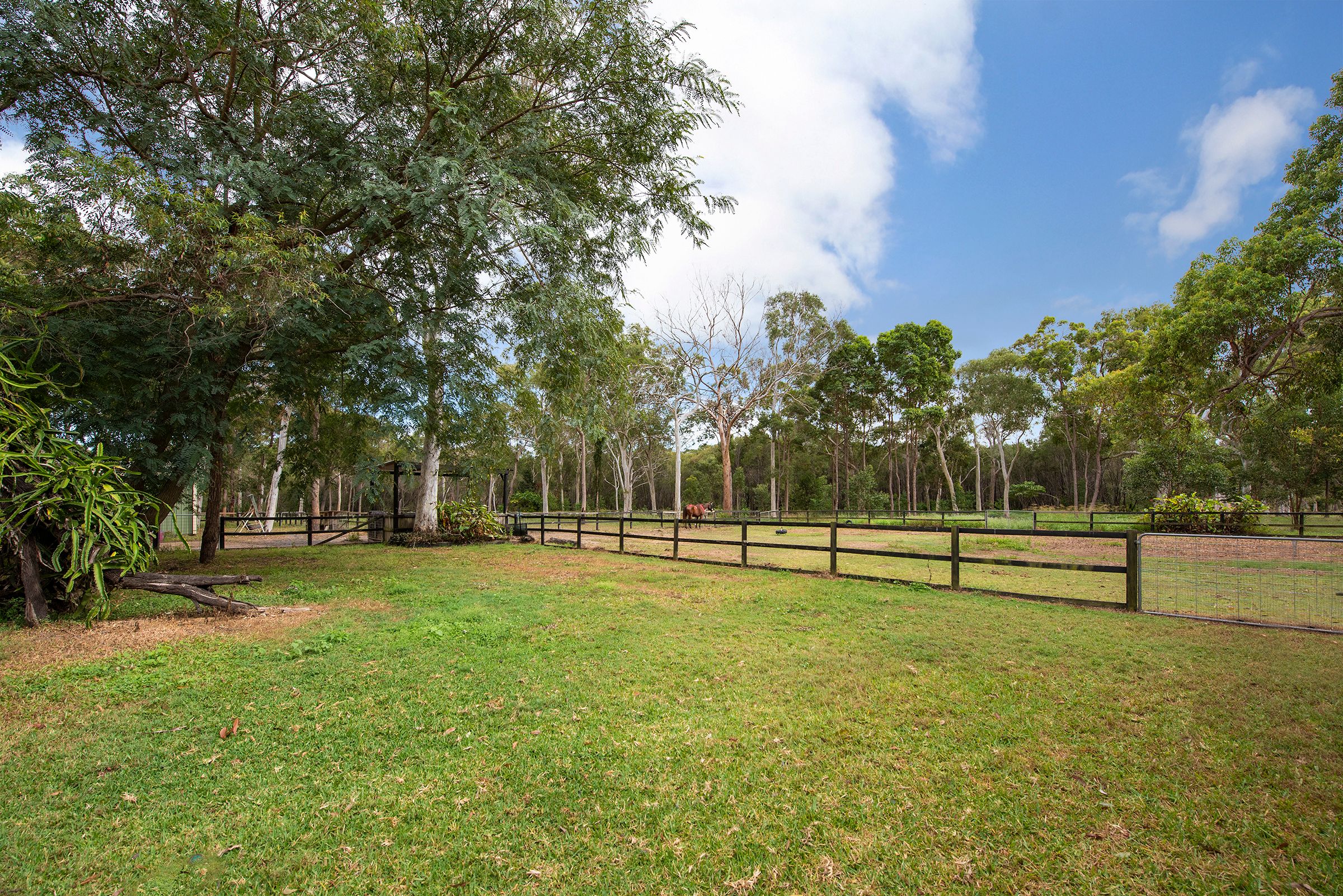 82 Wildsoet Street, Burbank, QLD 4156