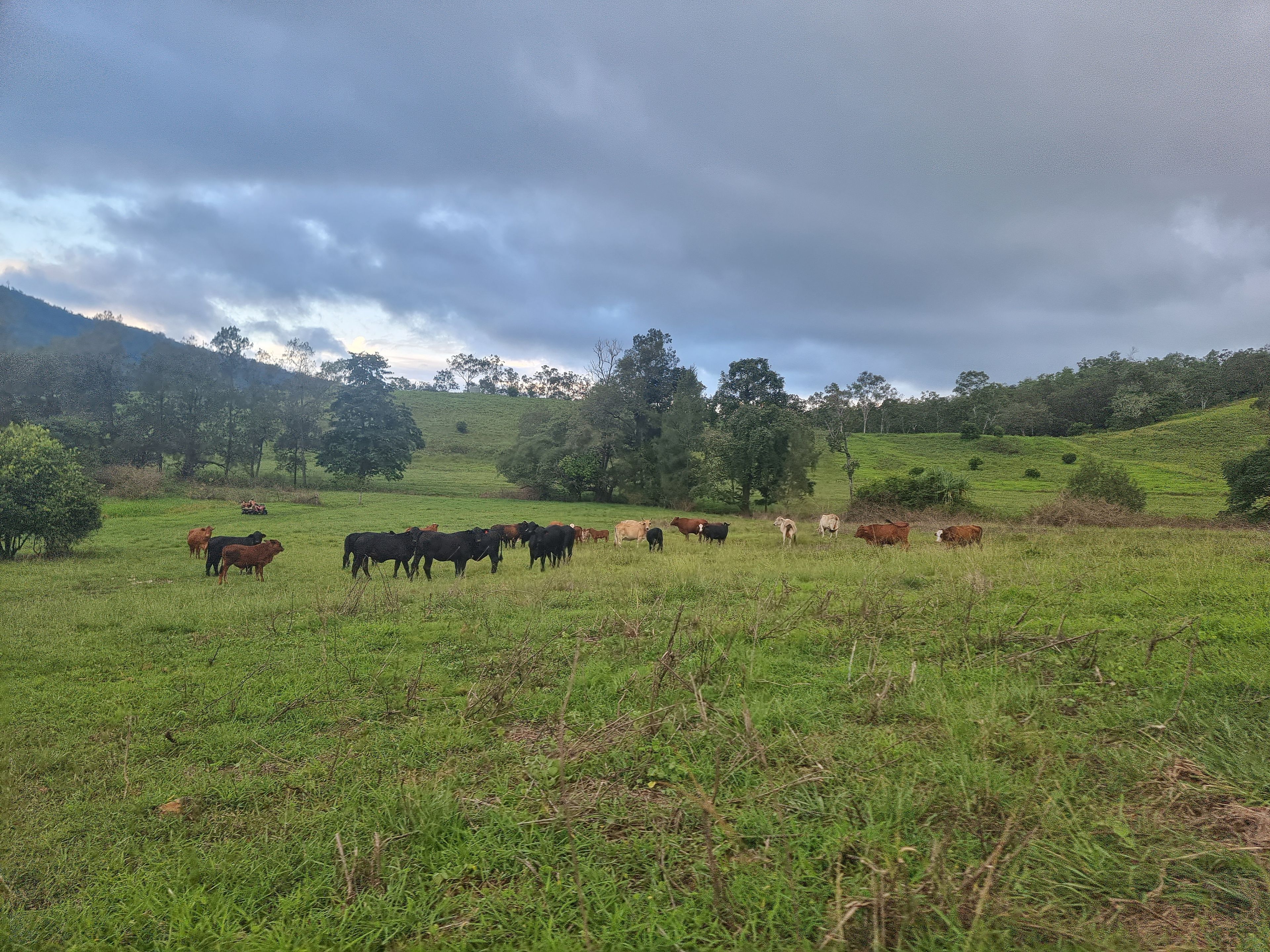 488 Upper Alligator Creek Road, Sarina, QLD 4737 Rural Lifestyle