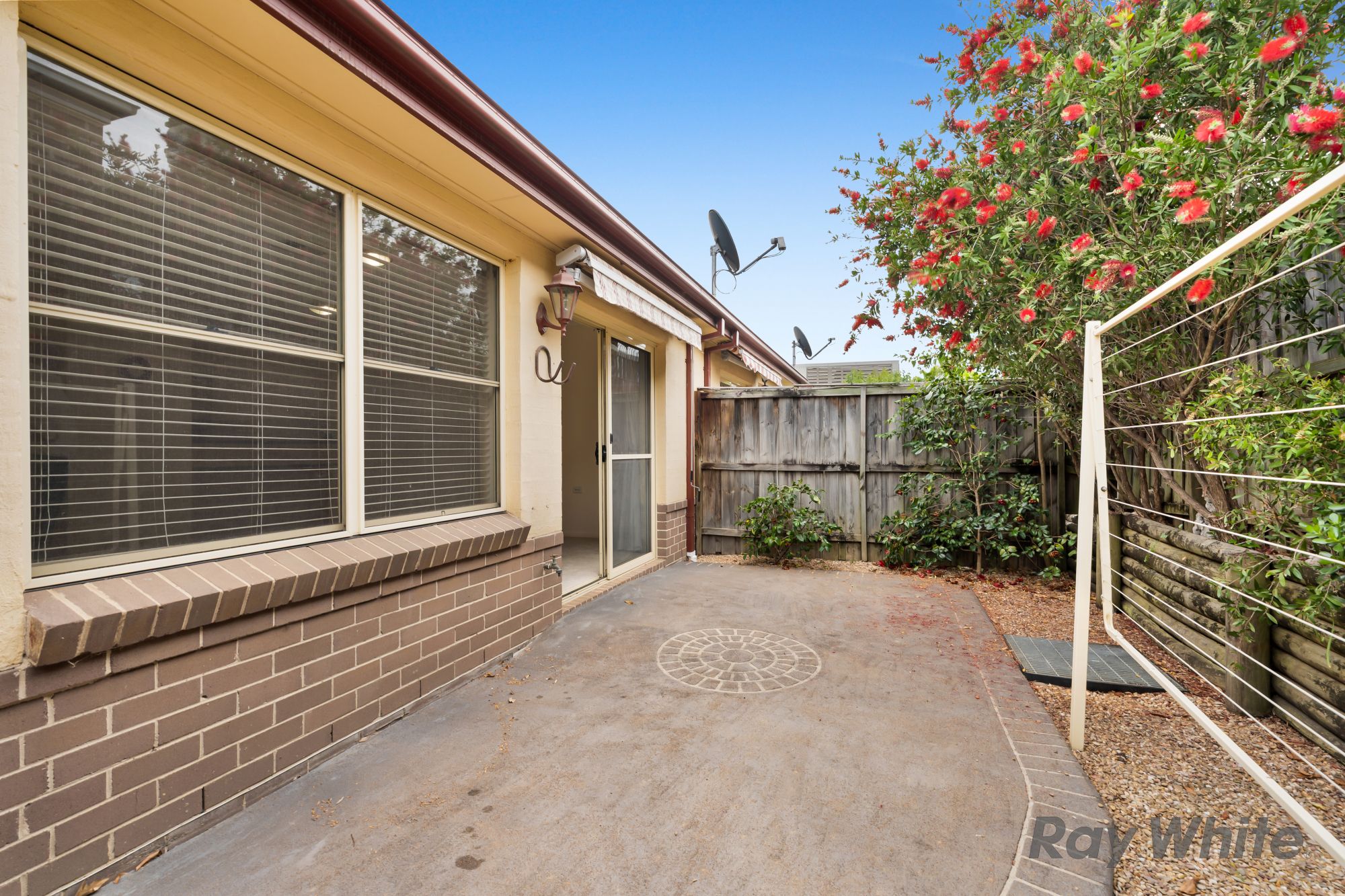 3/3-5 Colden Street — photo 9 of 13
