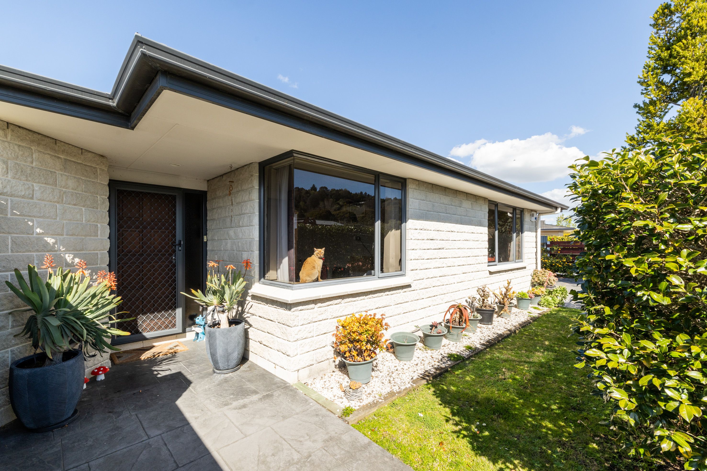 1 Moorhouse Street, Taradale, Napier City