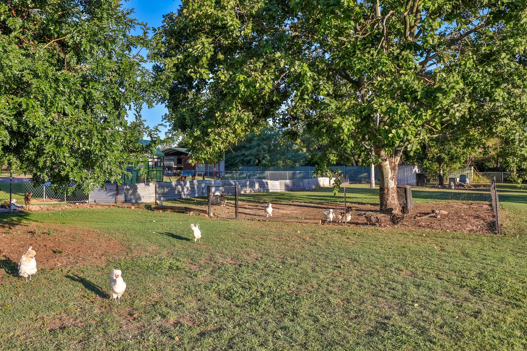 50-52 Thora Road, CEDAR GROVE, QLD 4285
