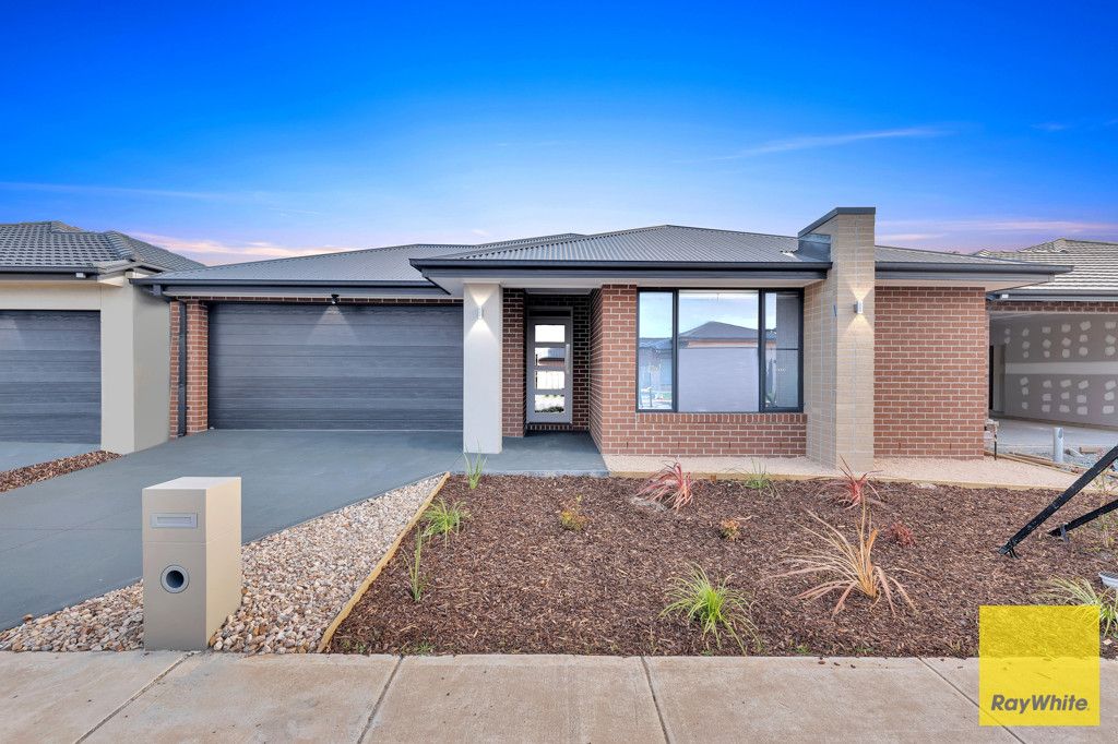 56 Paradoxa Drive , Tarneit VIC 3029