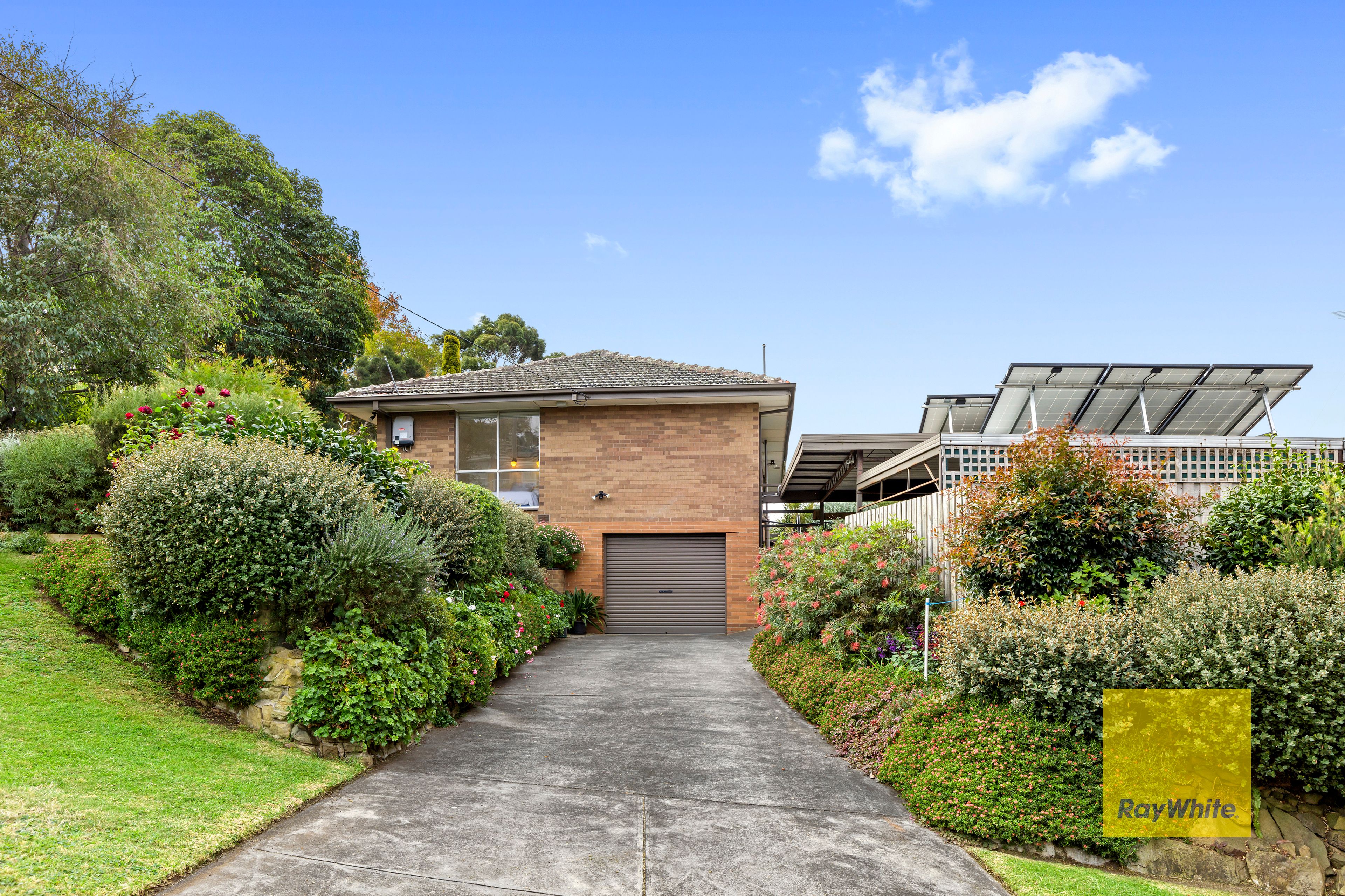 7 Greyfern Court, Highton, VIC 3216