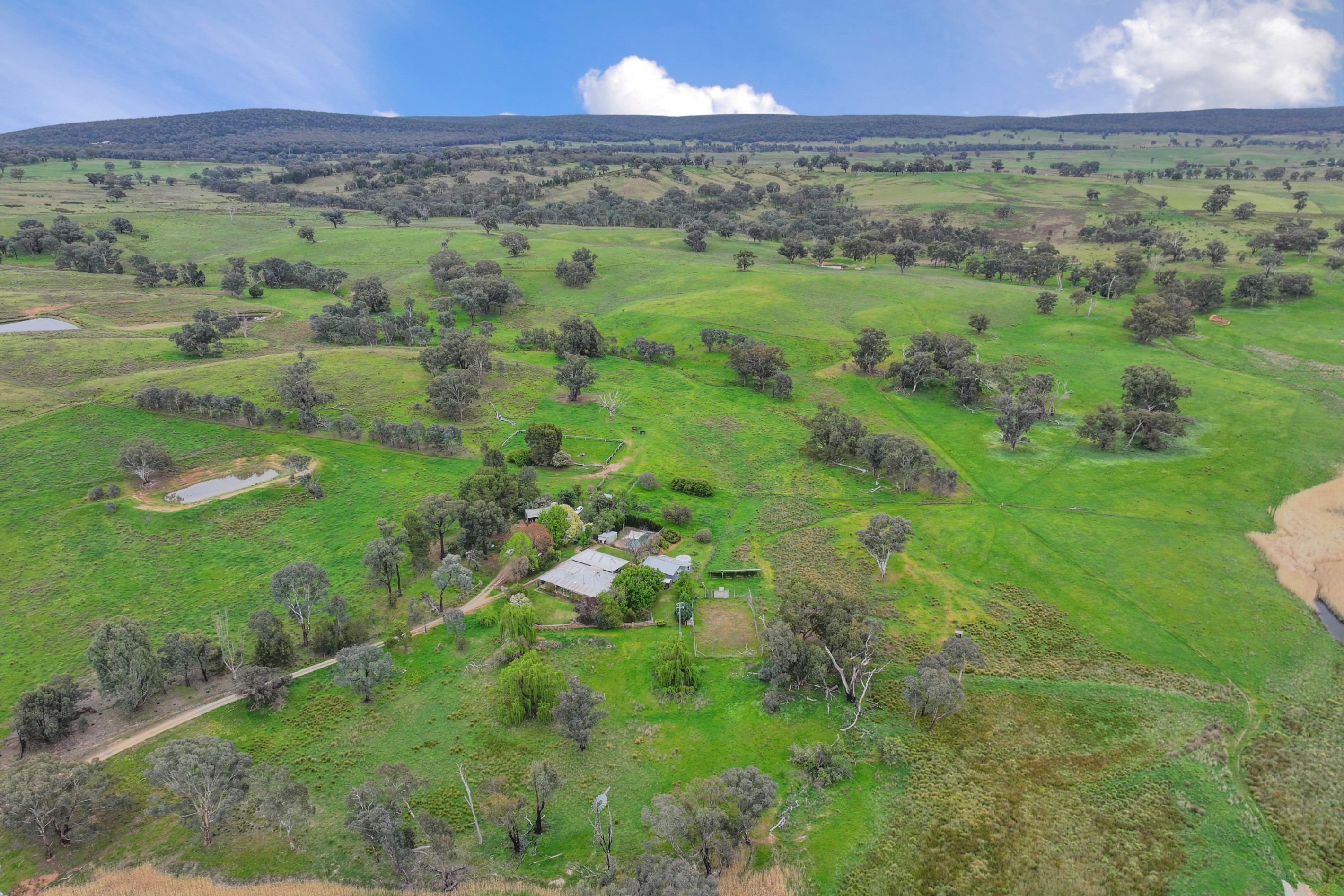 Waterhole Creek Road, Mandagery, NSW 2870