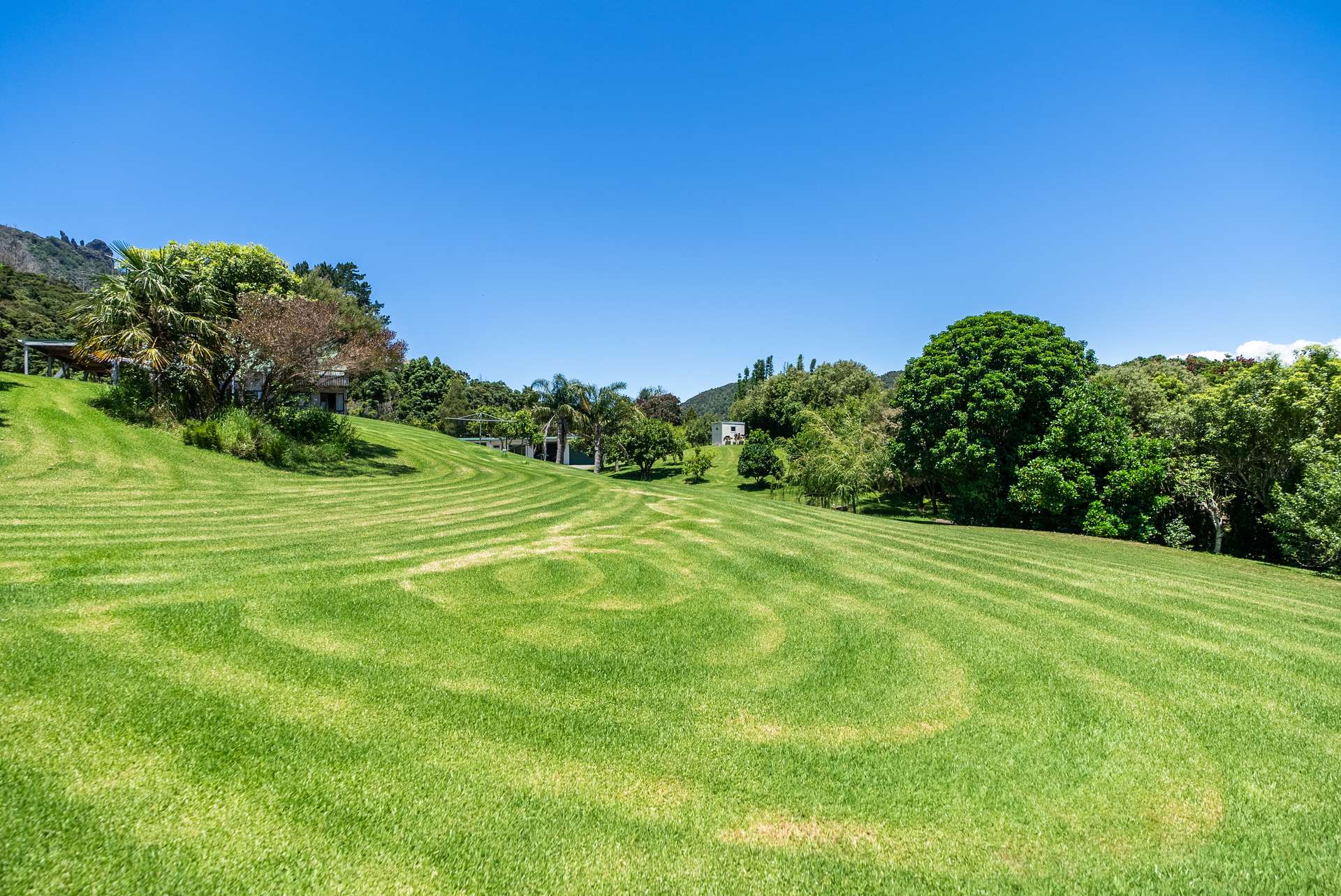 1981 Whangarei Heads Road photo 31