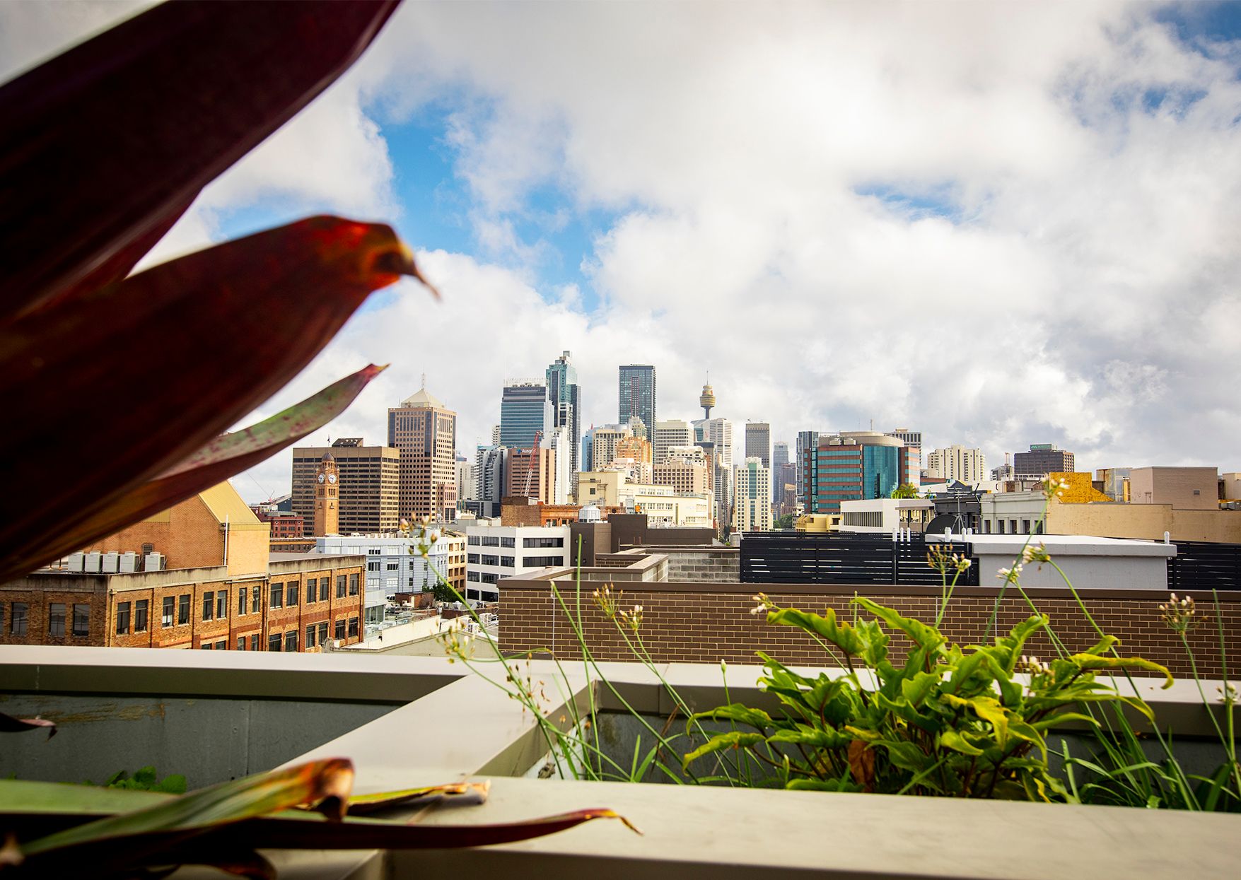 G.01/481-483 Elizabeth Street, Surry Hills, NSW 2010